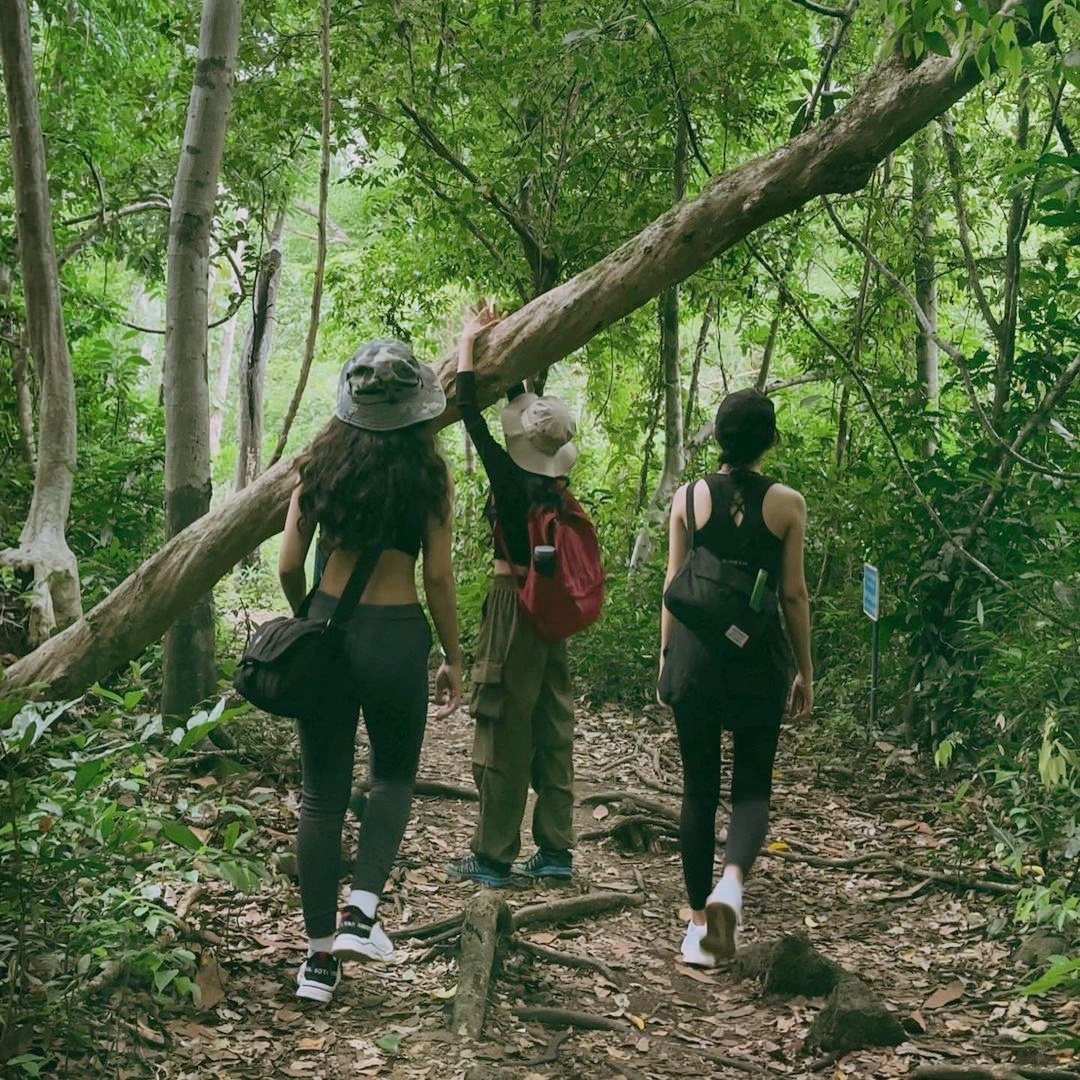 dia diem du lich,  du lich chua lanh,  vuon quoc gia,  Nam Cat Tien anh 7