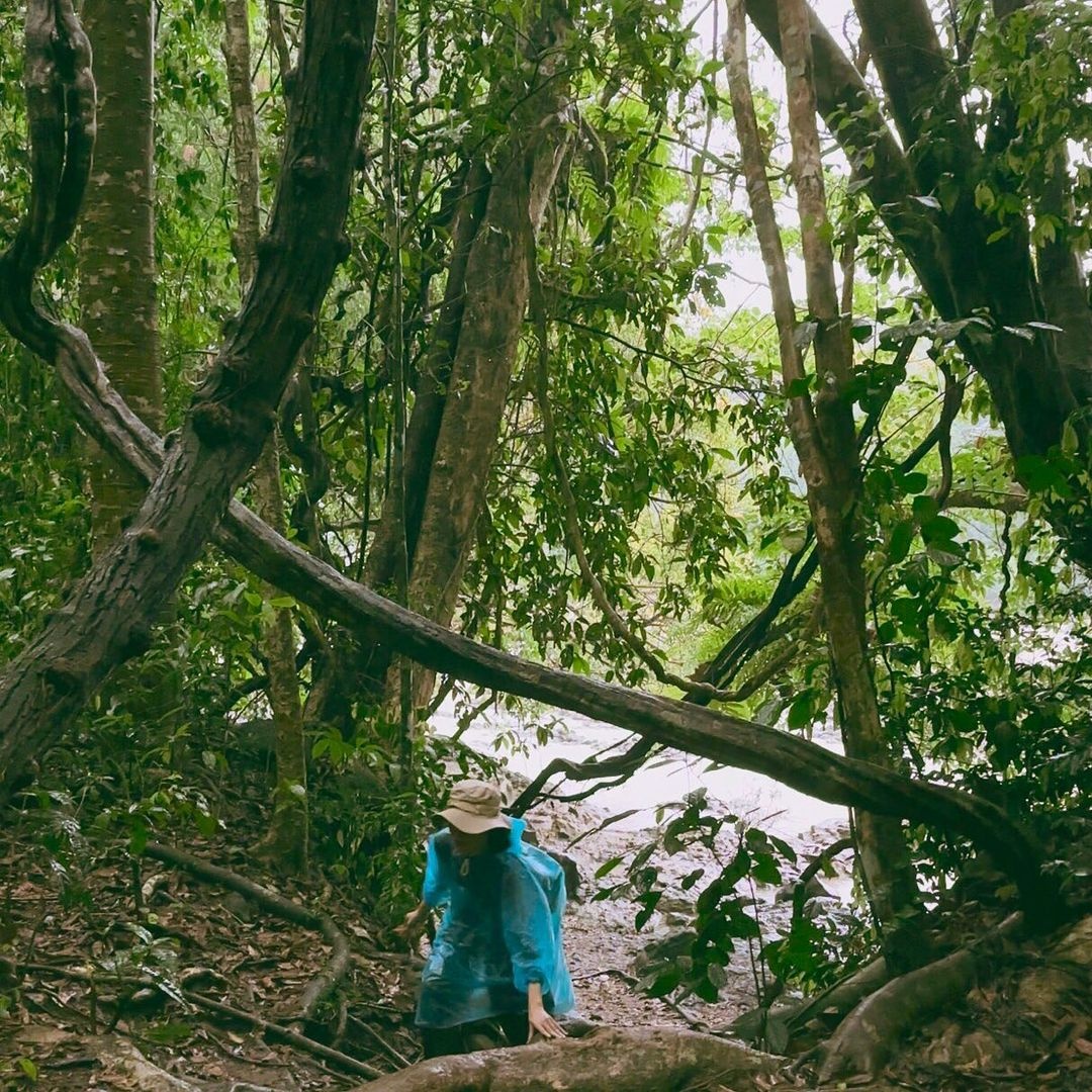 địa điểm du lịch, du lịch chữa lành, vườn quốc gia, Nam Cát Tiên ảnh 8 dia diem du lich, du lich chua lanh, vuon quoc gia, Nam Cat Tien anh 8