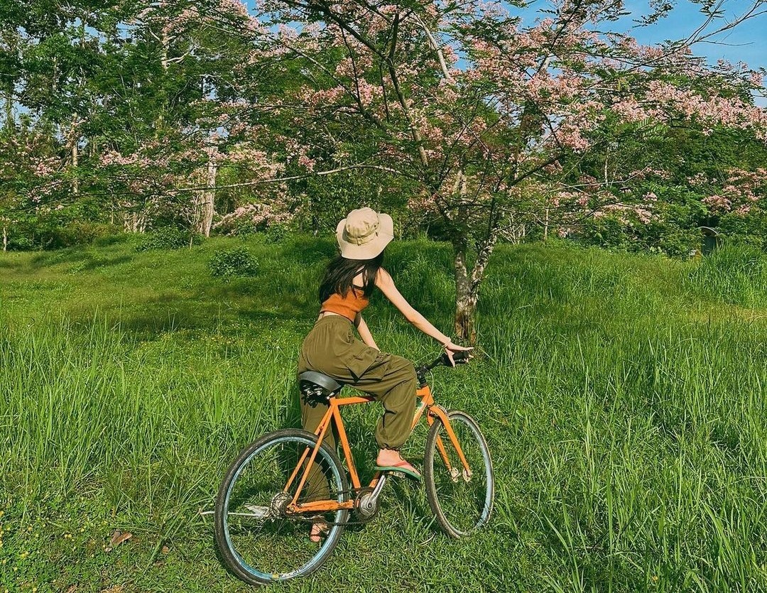 Tron khoi bui tai Vuon quoc gia Cat Tien hinh anh