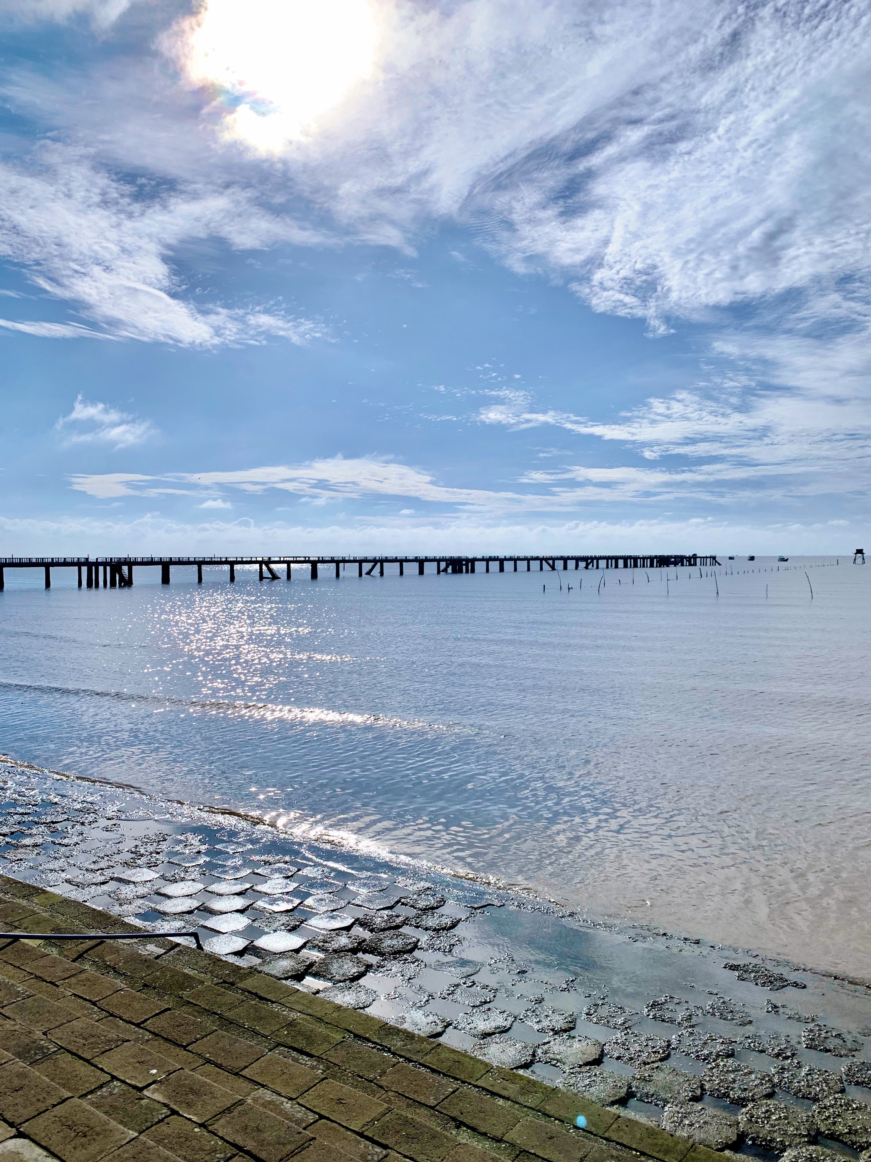 du lich mien Tay,  bien Tan Thanh,  Tien Giang,  mon dac san anh 11