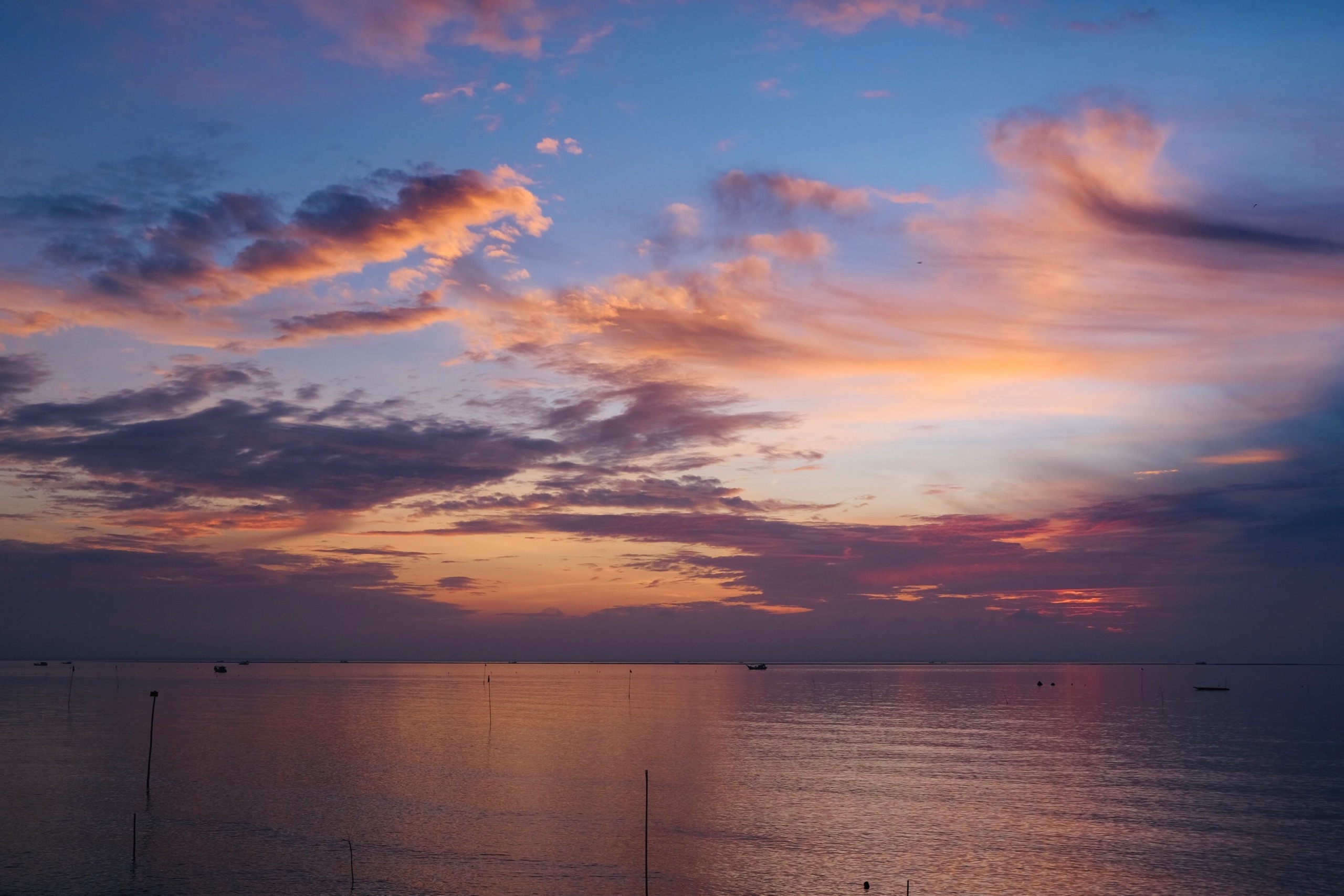 du lich mien Tay,  bien Tan Thanh,  Tien Giang,  mon dac san anh 13