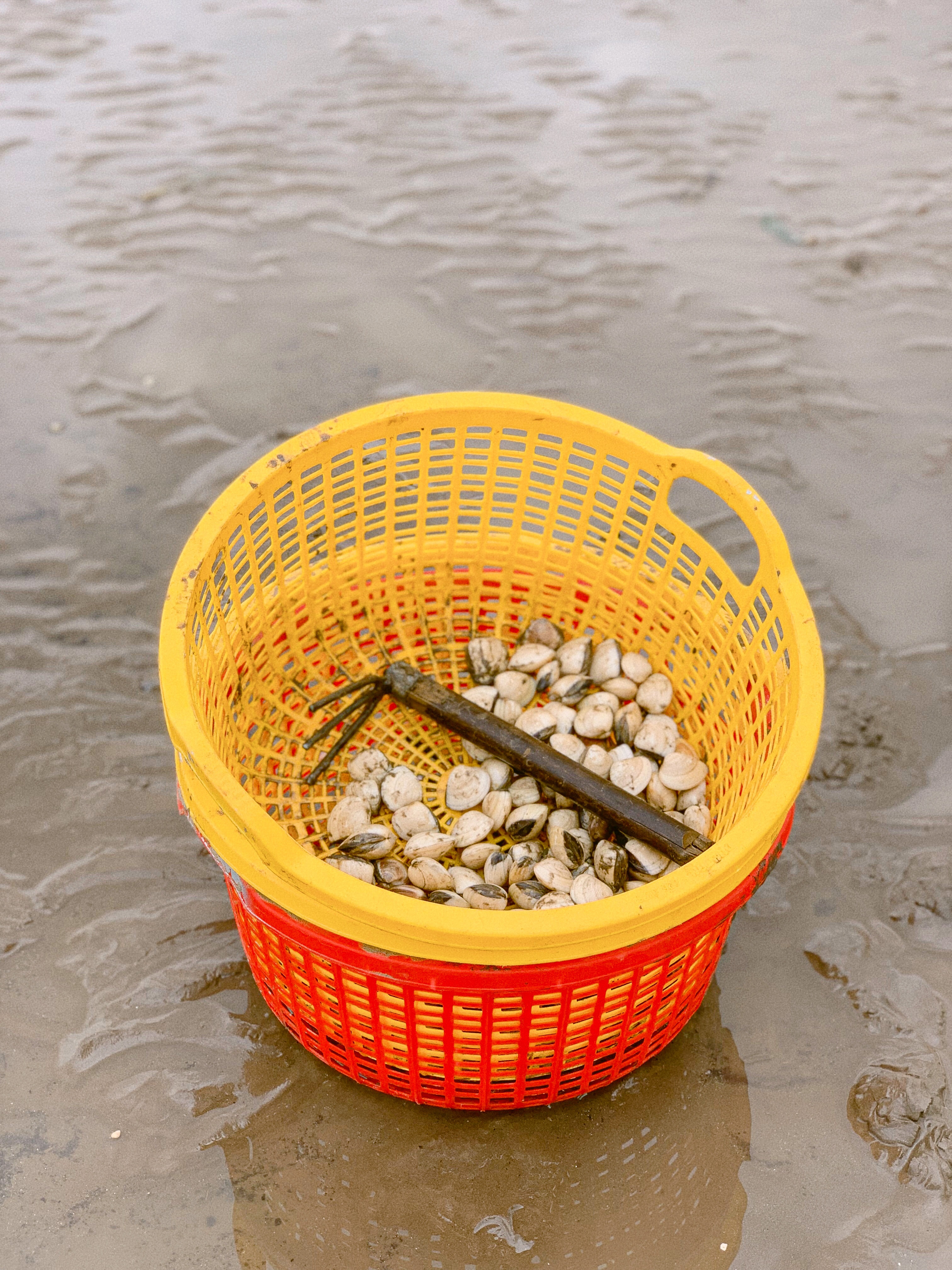 du lich mien Tay,  bien Tan Thanh,  Tien Giang,  mon dac san anh 4