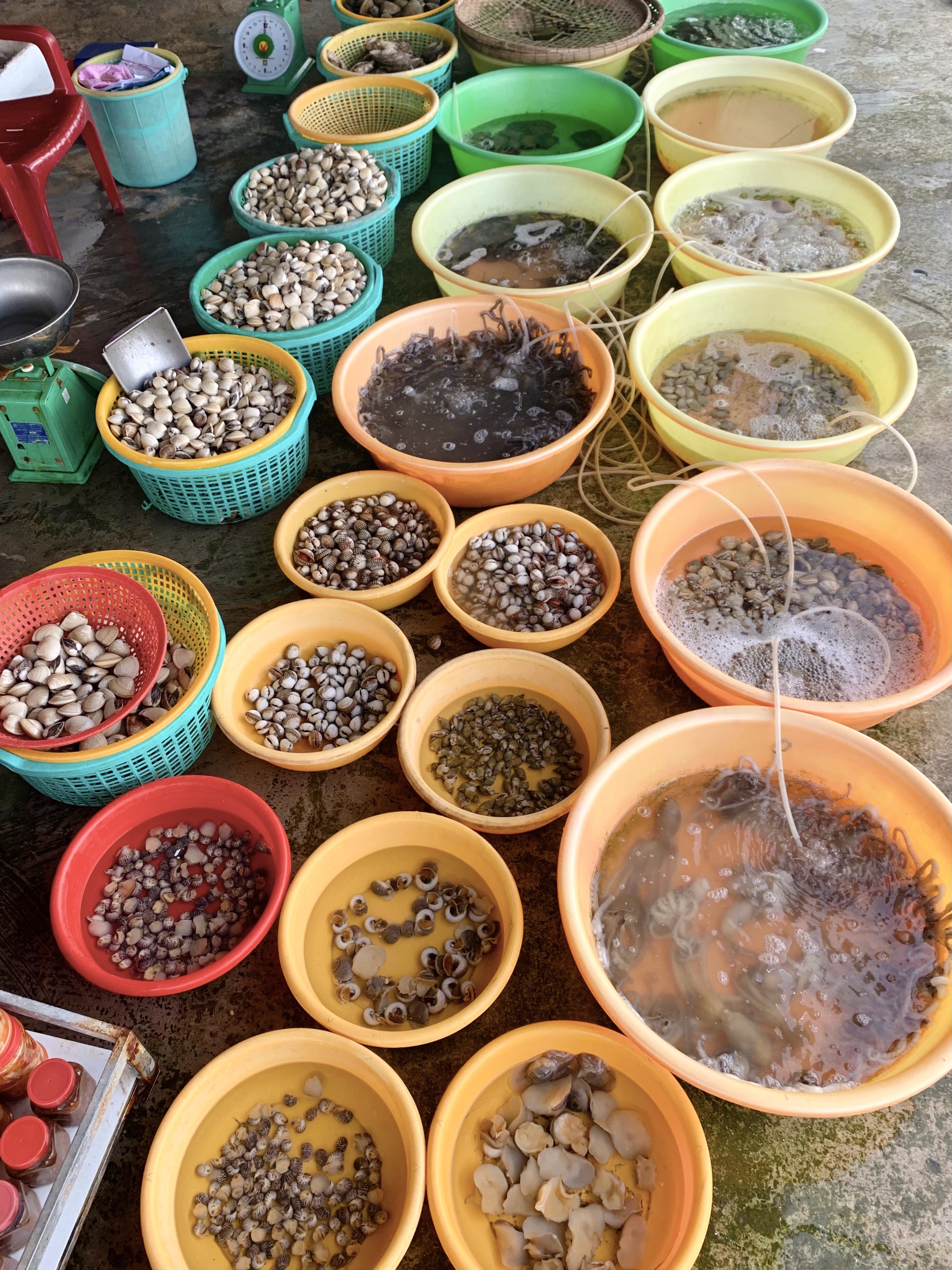 du lich mien Tay,  bien Tan Thanh,  Tien Giang,  mon dac san anh 6