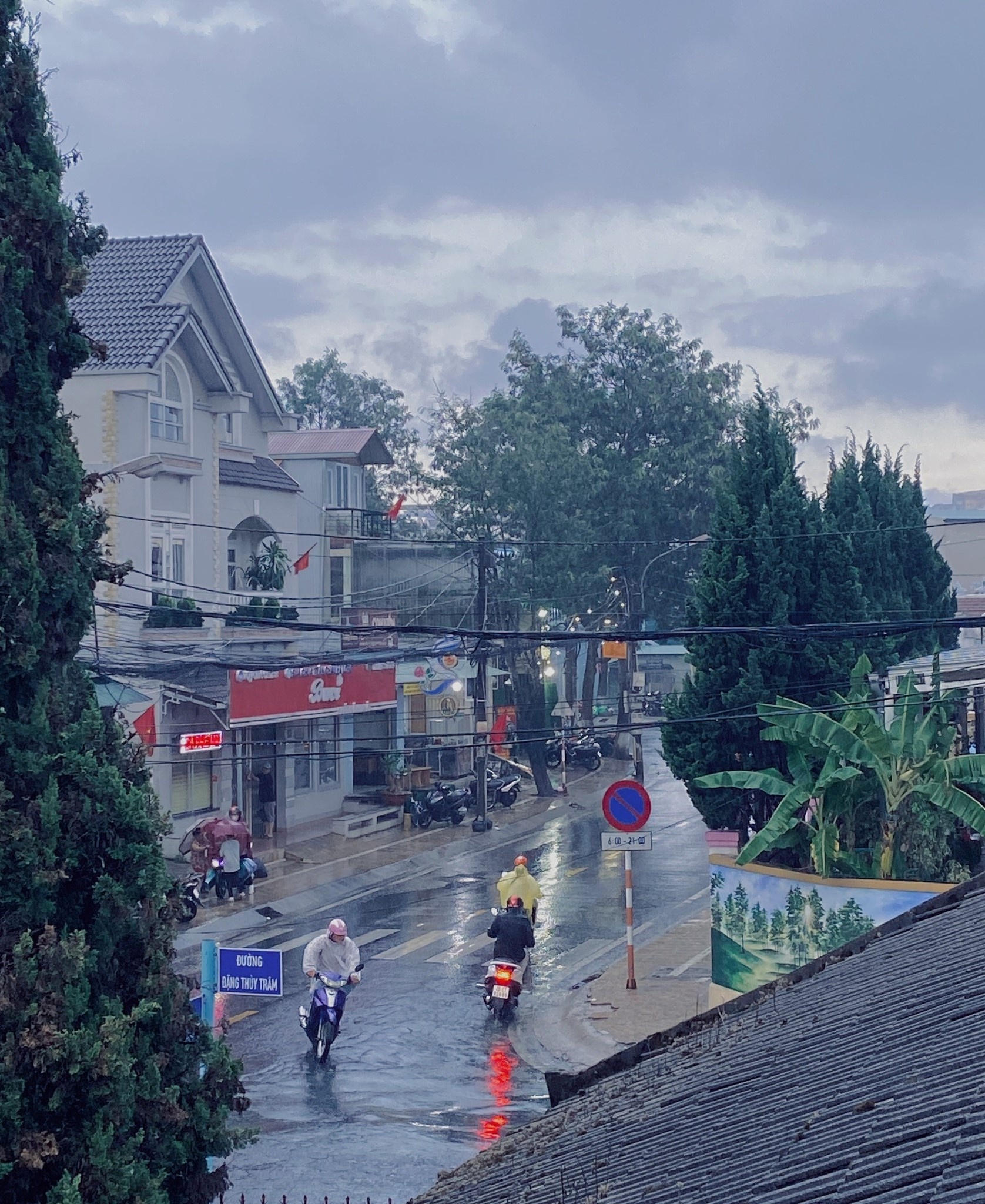 dia diem du lich,  du lich mua mua,  thanh pho Da Lat anh 1