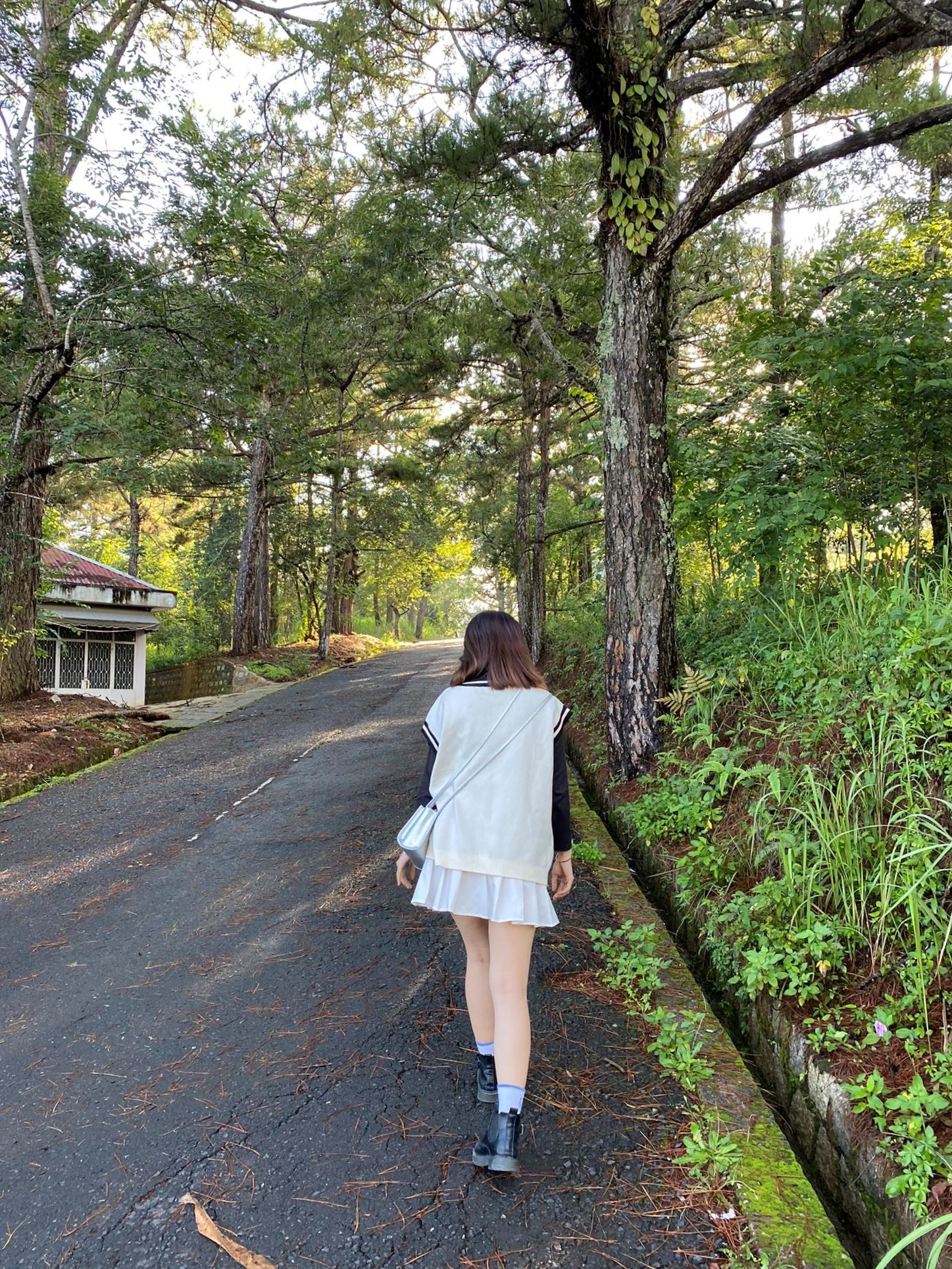 dia diem du lich,  du lich mua mua,  thanh pho Da Lat anh 3