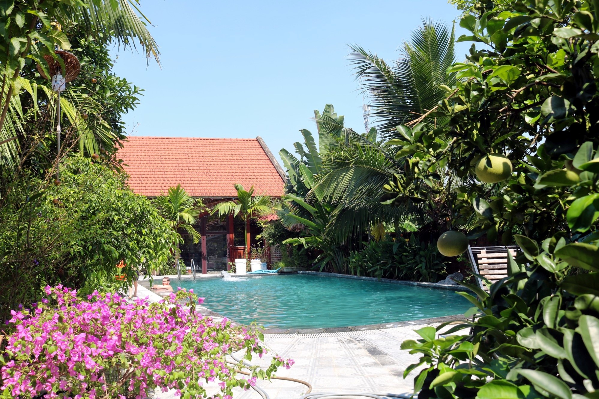 dia diem du lich,  kinh nghiem du lich,  tinh Ninh Binh,  mua hoa sen,  chup anh check-in anh 1