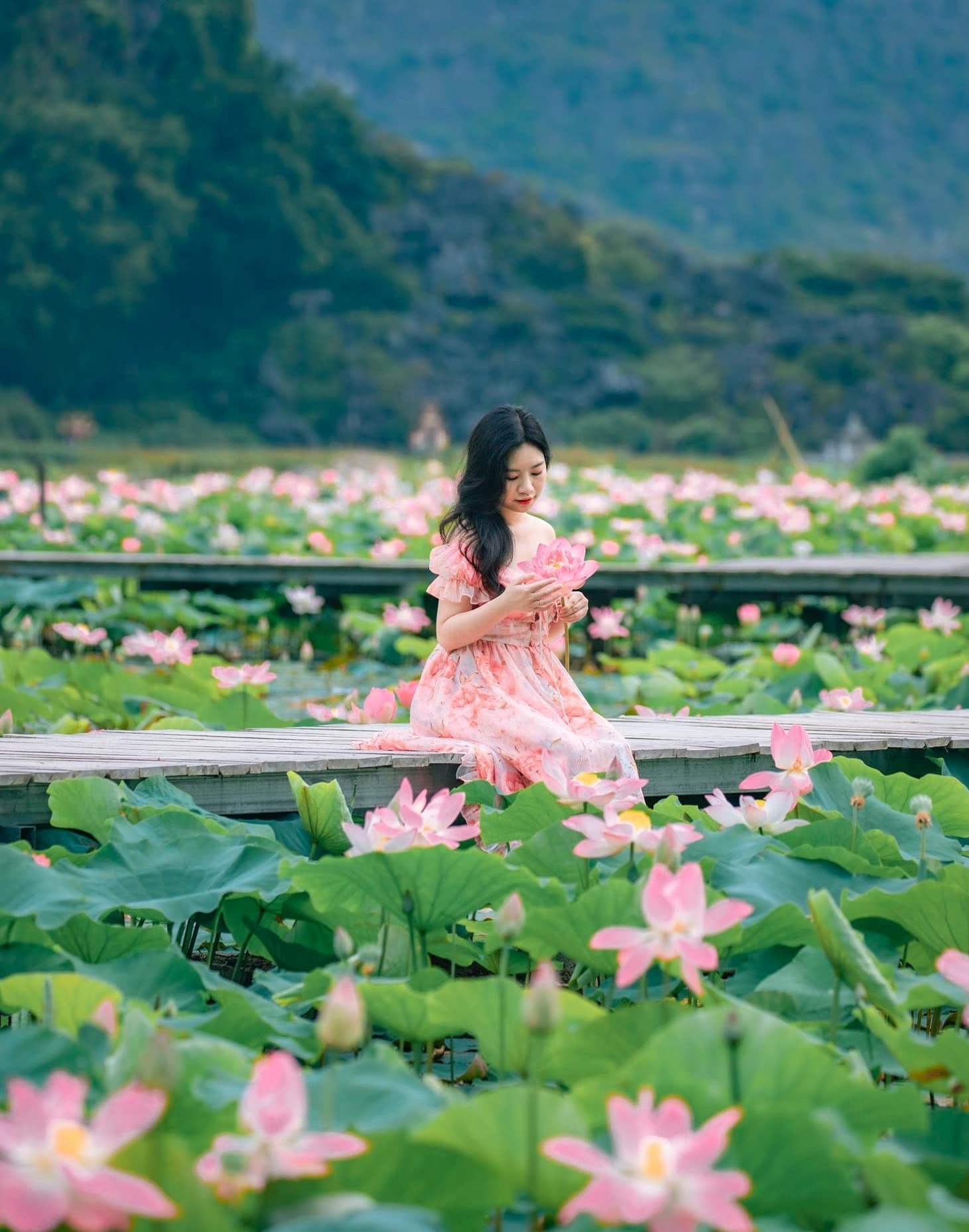 dia diem du lich,  kinh nghiem du lich,  tinh Ninh Binh,  mua hoa sen,  chup anh check-in anh 7