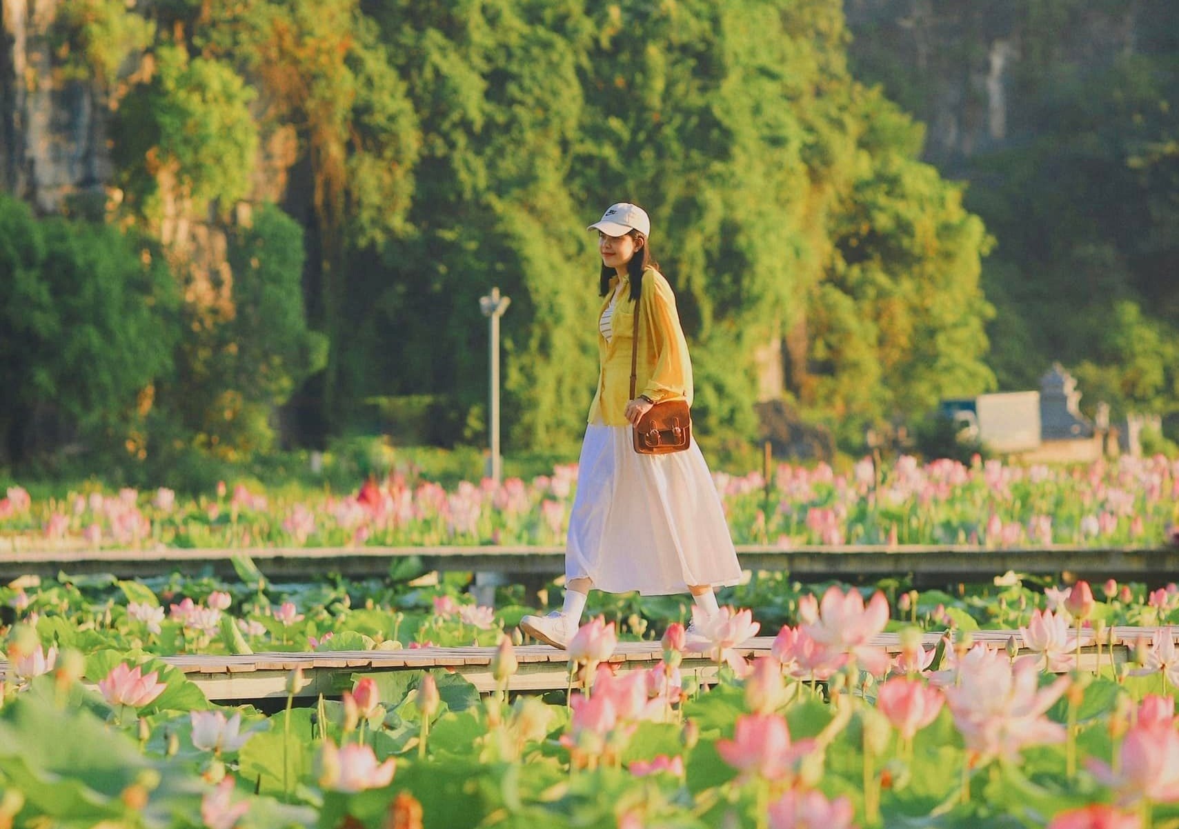 dia diem du lich,  kinh nghiem du lich,  tinh Ninh Binh,  mua hoa sen,  chup anh check-in anh 9