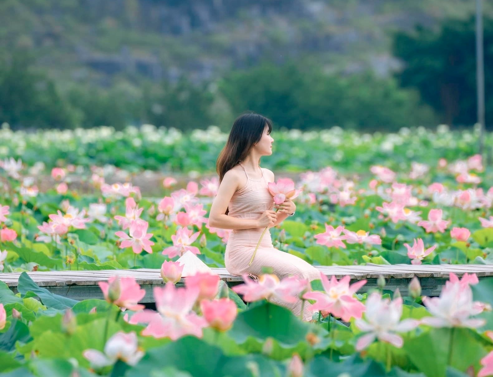 Di Ninh Binh ngam sen voi mot trieu dong hinh anh