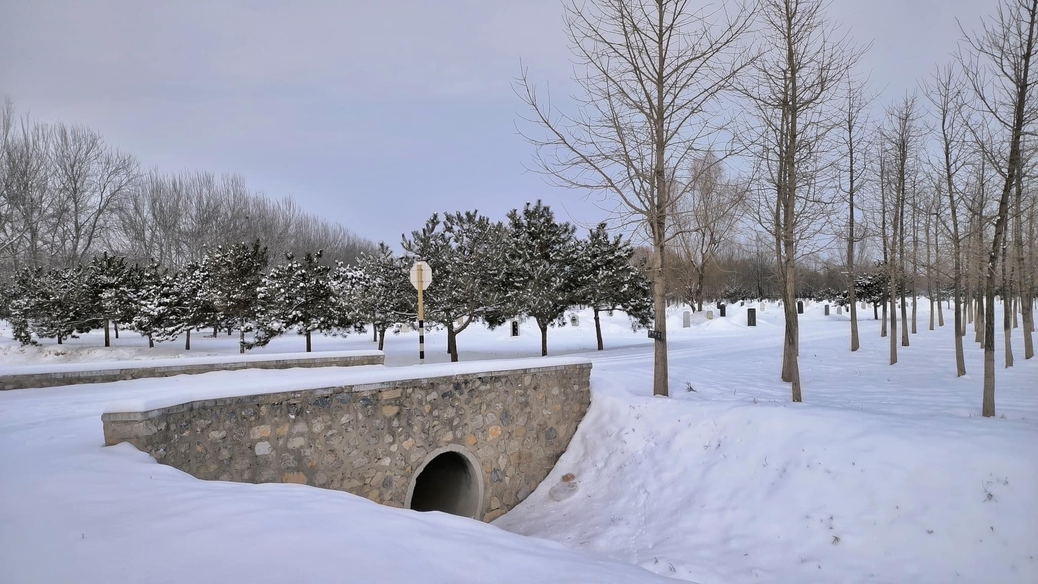 kinh nghiem du lich,  Dong Bac A,  song nhiet anh 1