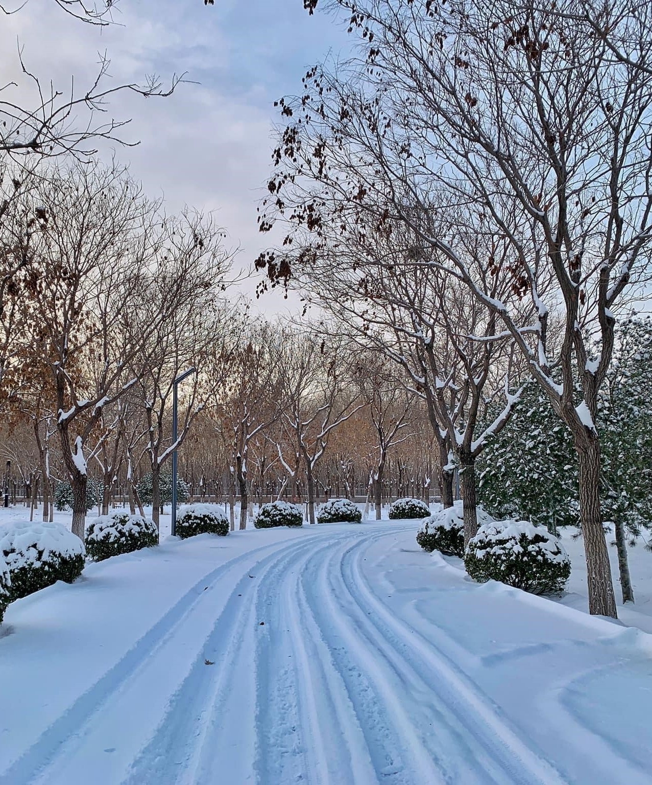 kinh nghiem du lich,  Dong Bac A,  song nhiet anh 6