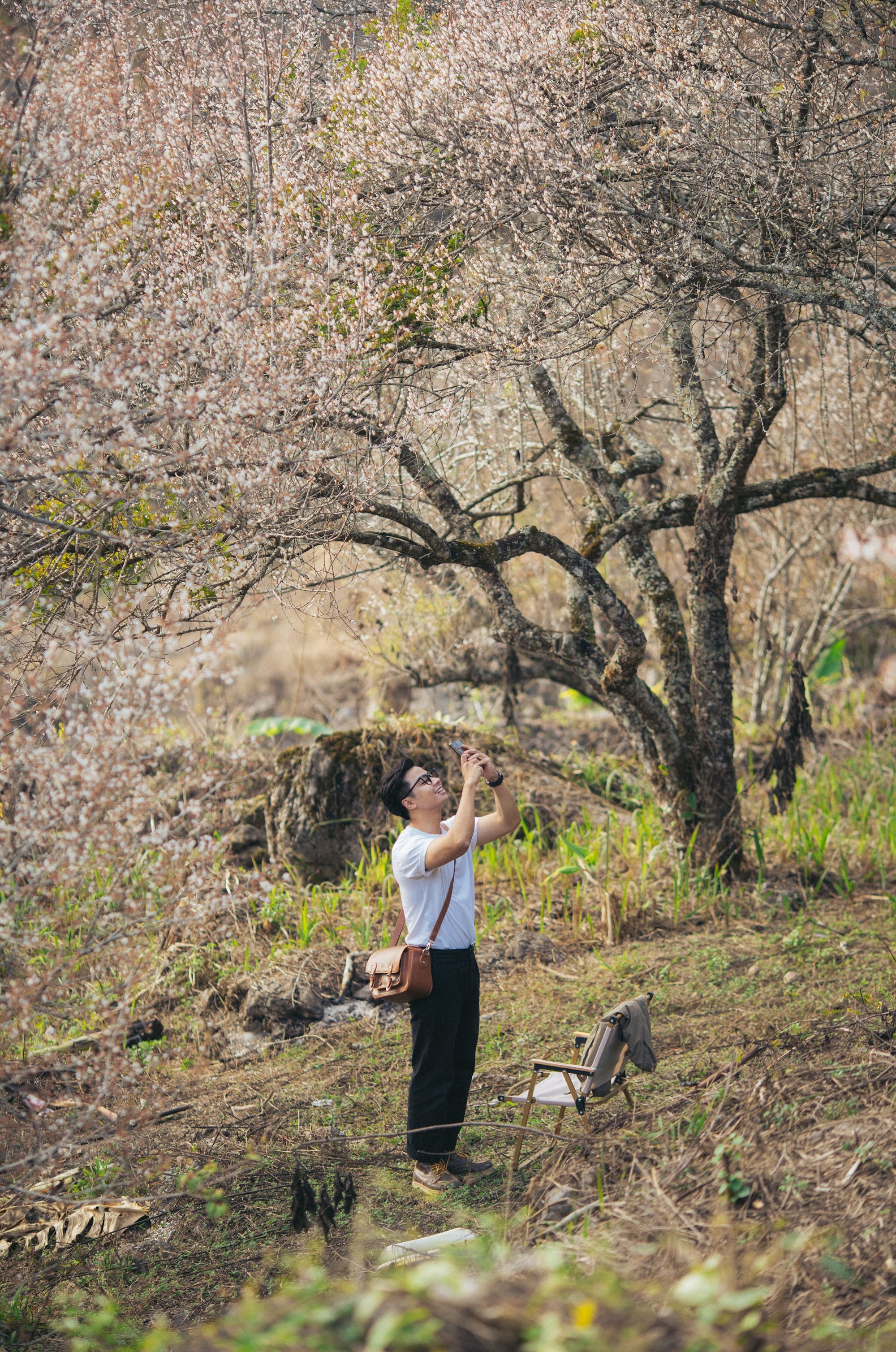 dia diem du lich,  huyen Moc Chau,  tinh Son La,  mua hoa mo anh 6