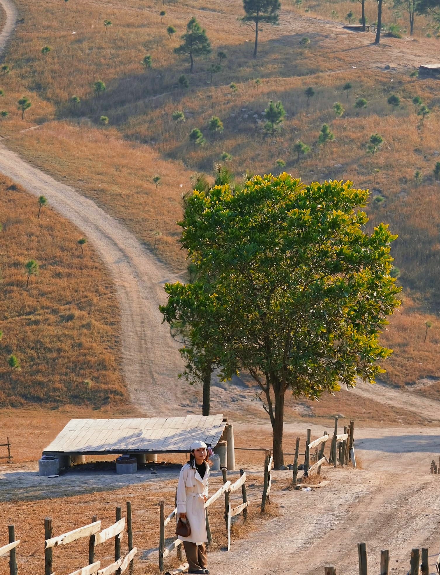 dia diem du lich,  dinh Phuong Hoang,  tinh Quang Ninh,  mua co chay anh 3