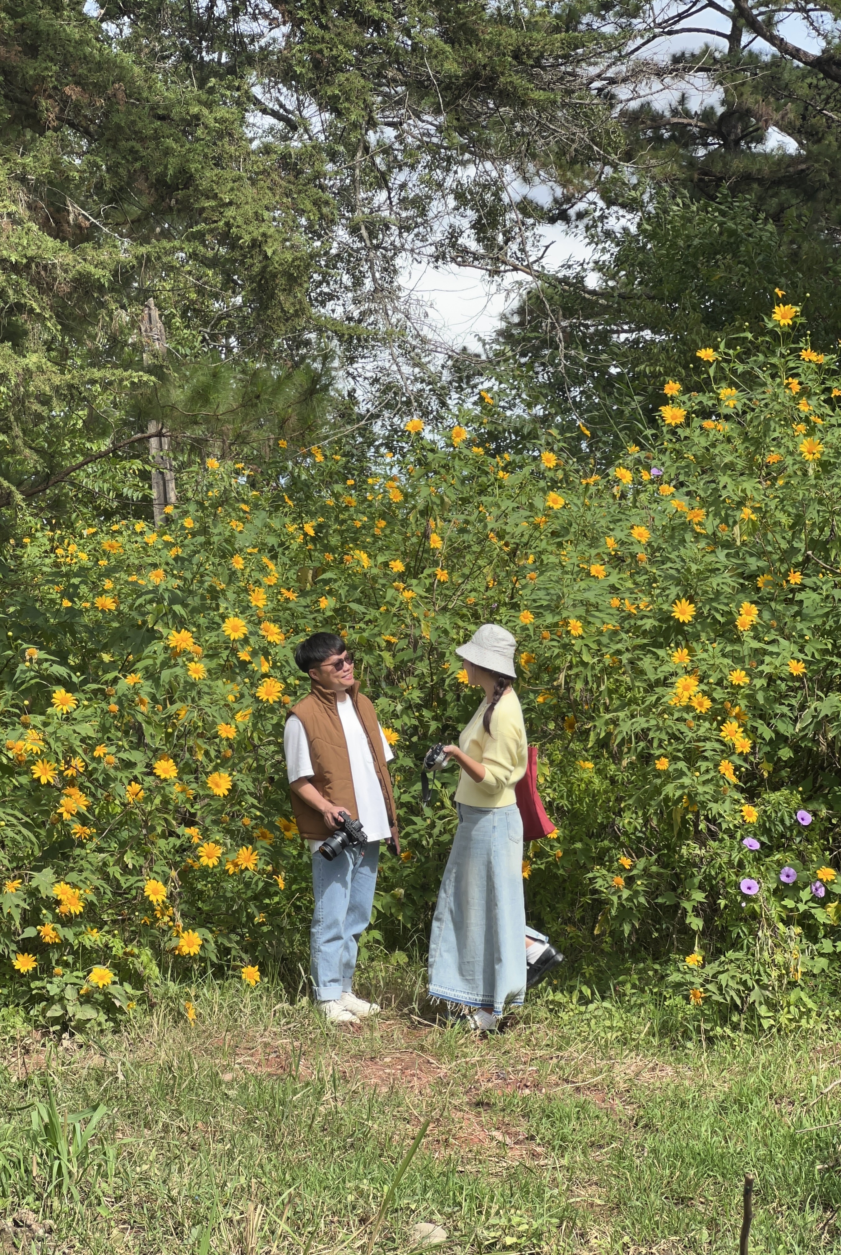 dia diem du lich,  thanh pho Da Lat anh 4