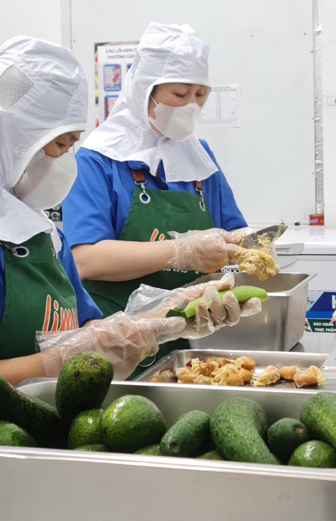 ẩm thực Hà Nội, kem paletas ảnh 2 am thuc Ha Noi, kem paletas anh 2