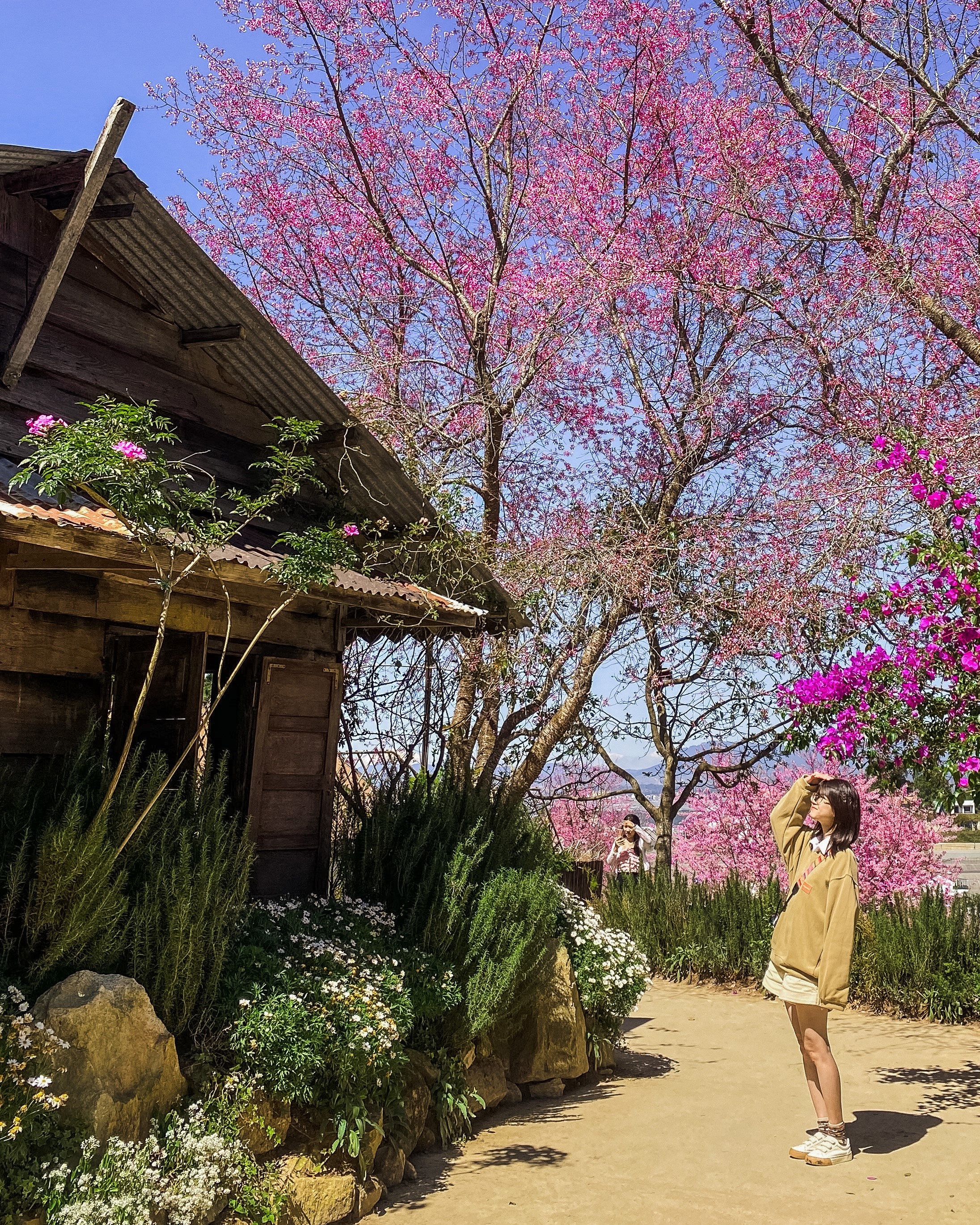 du lịch một mình ảnh 1 du lich mot minh anh 1