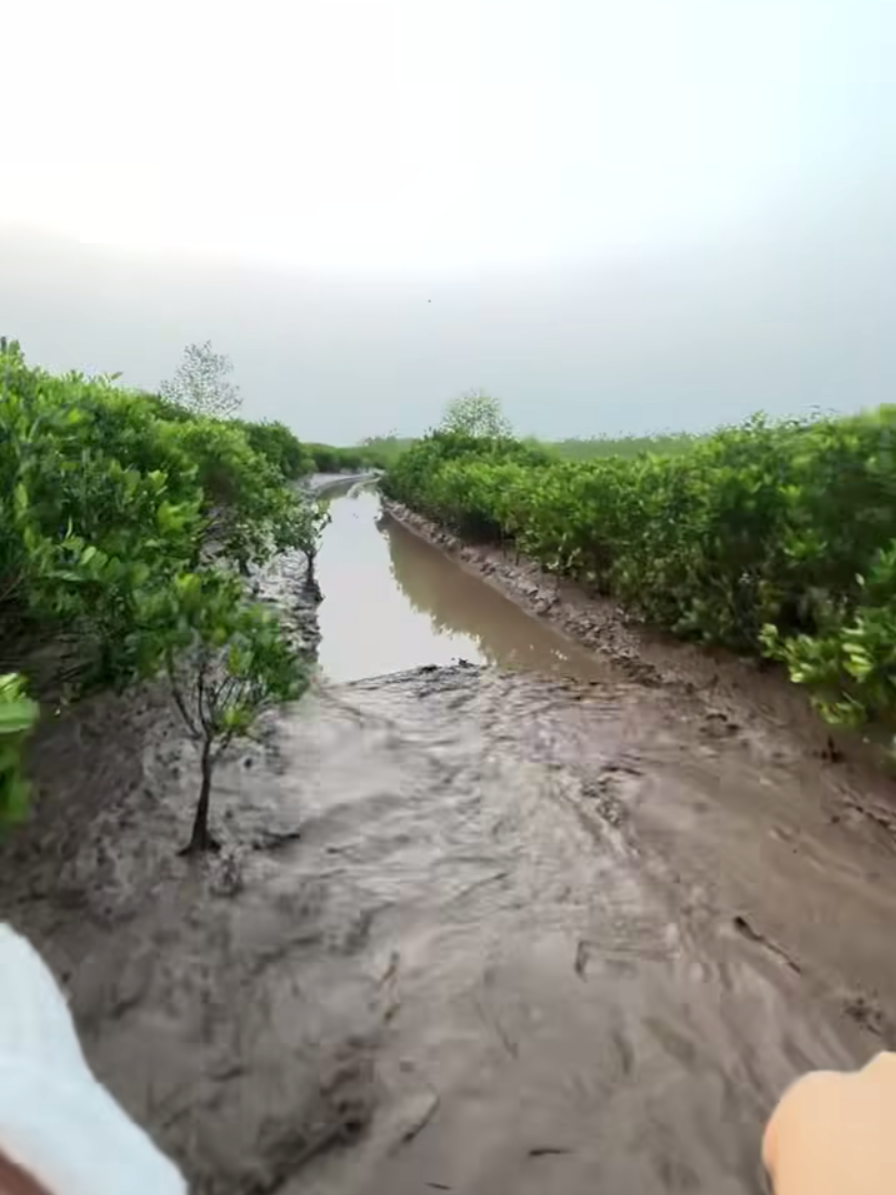 du lịch lễ 30/4 ảnh 8 du lich le 30/4 anh 8