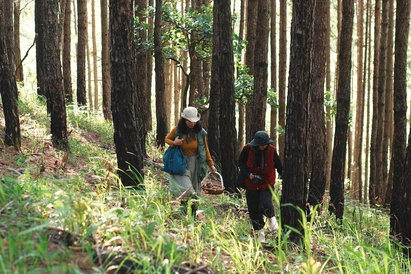 hai nam Da Lat anh 9