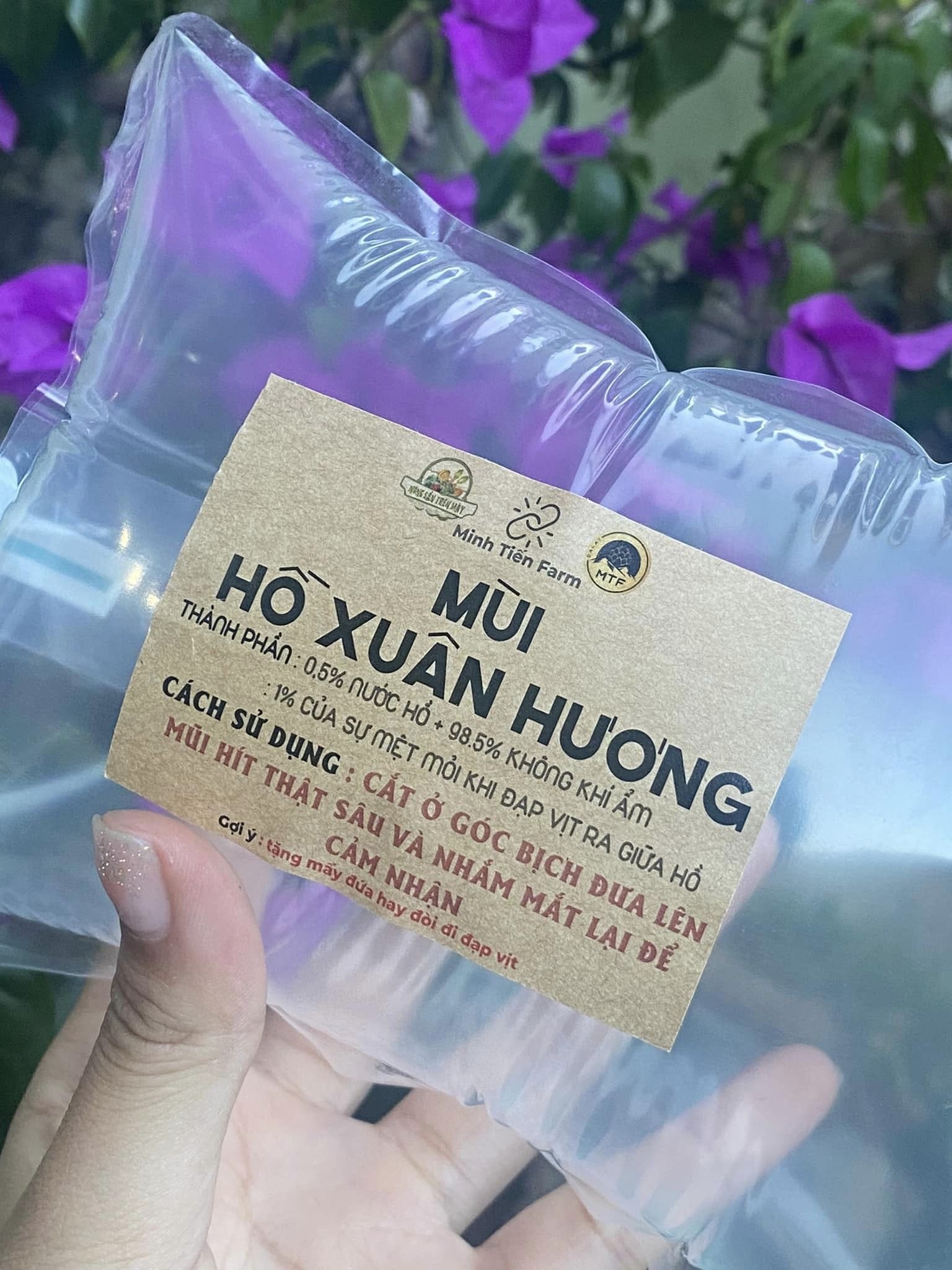 tui khong khi Da Lat anh 5