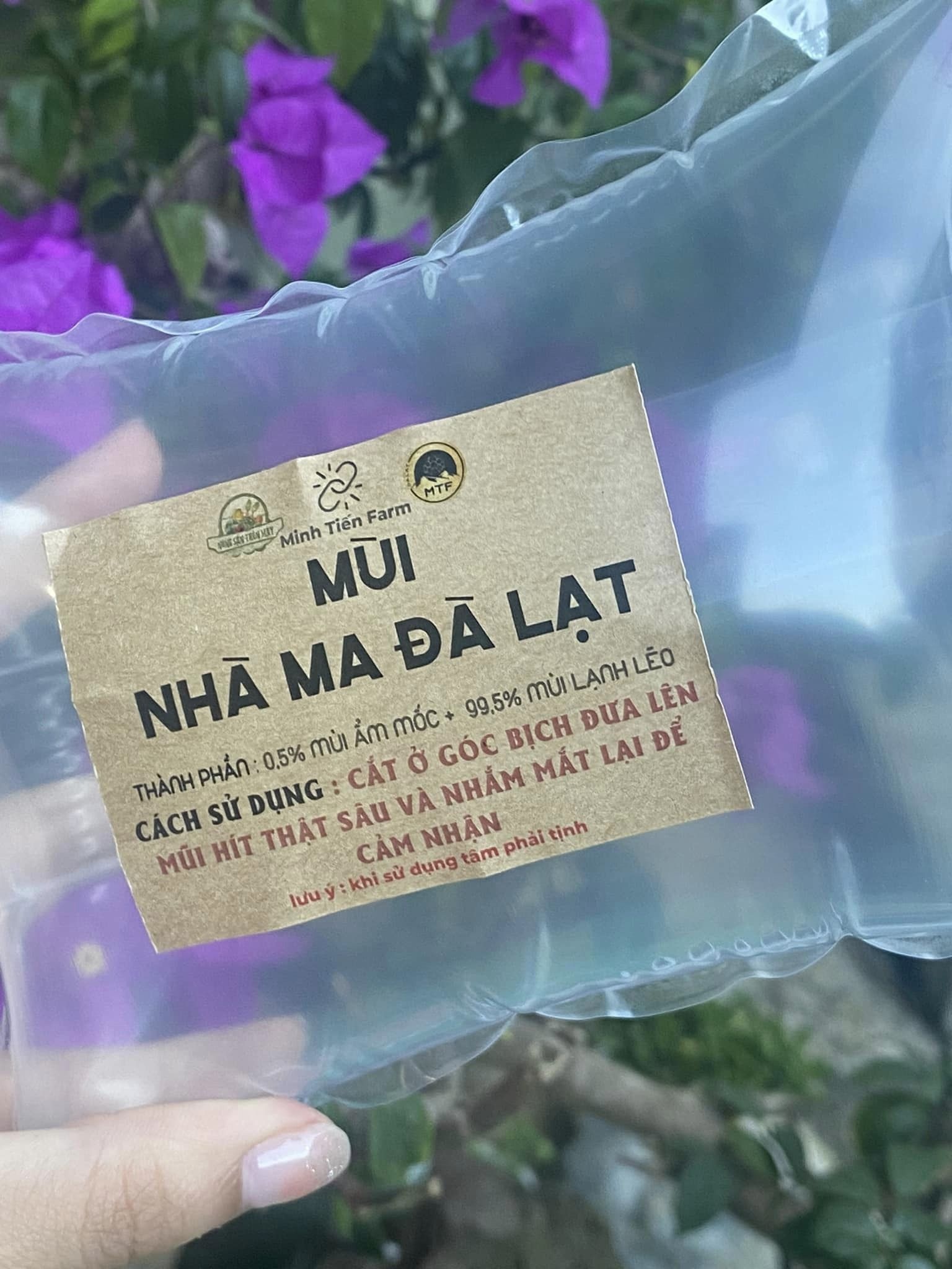 tui khong khi Da Lat anh 4