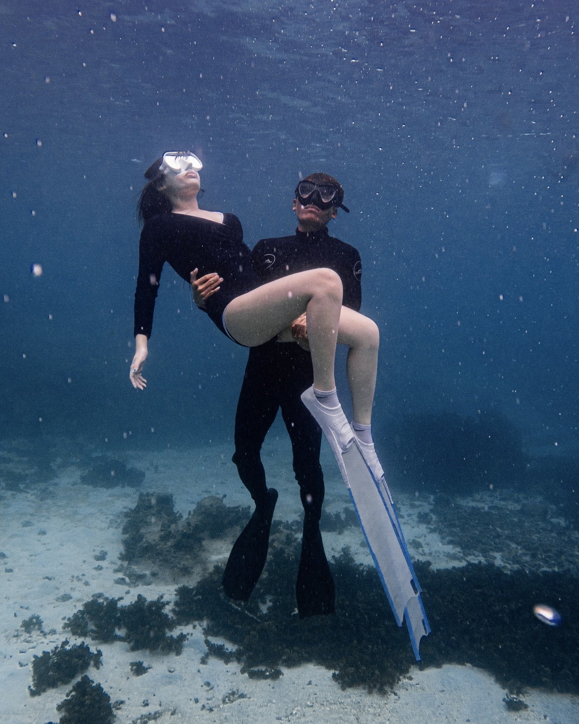 lặn tự do ảnh 4 lan tu do anh 4