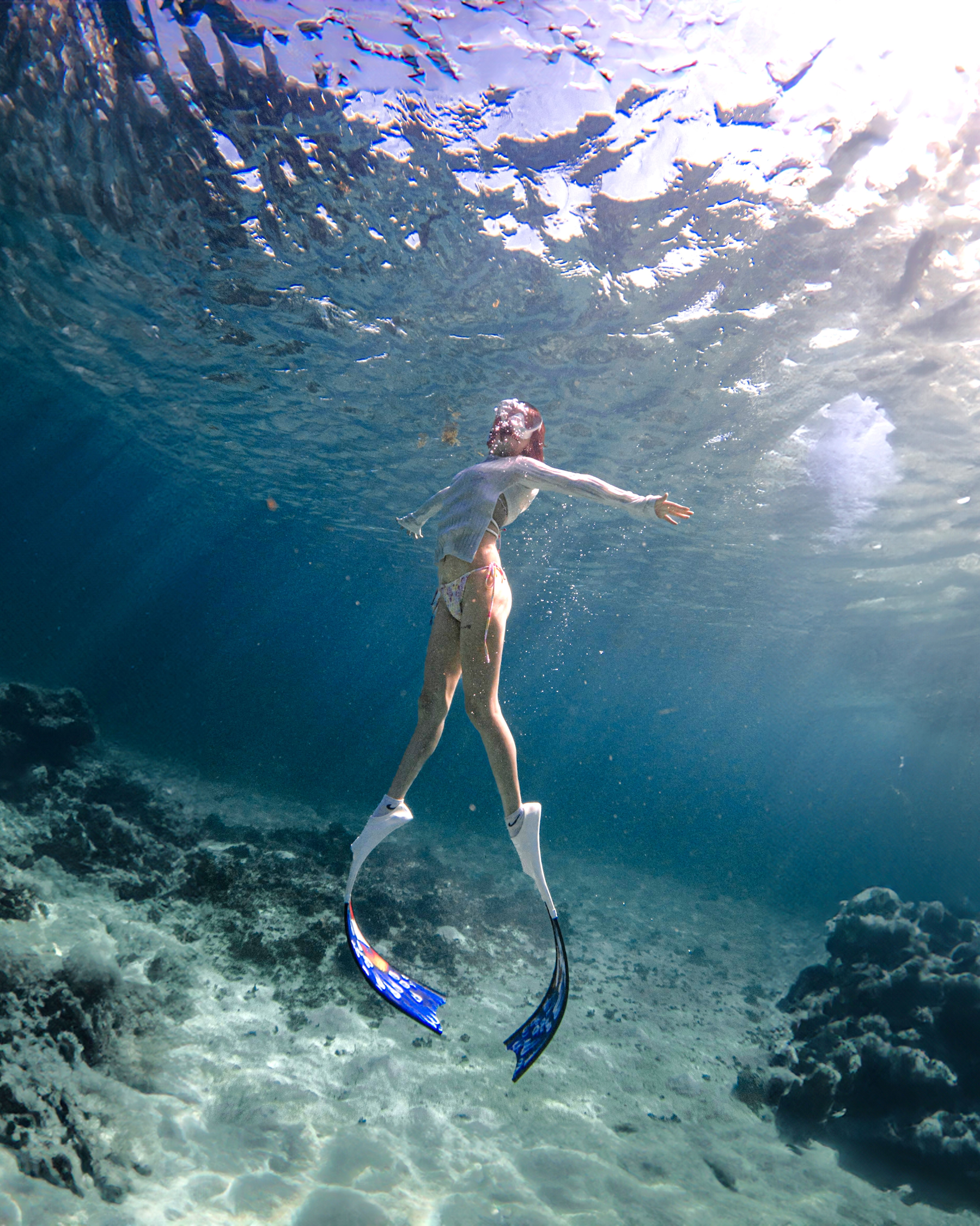 lặn tự do ảnh 6 lan tu do anh 6