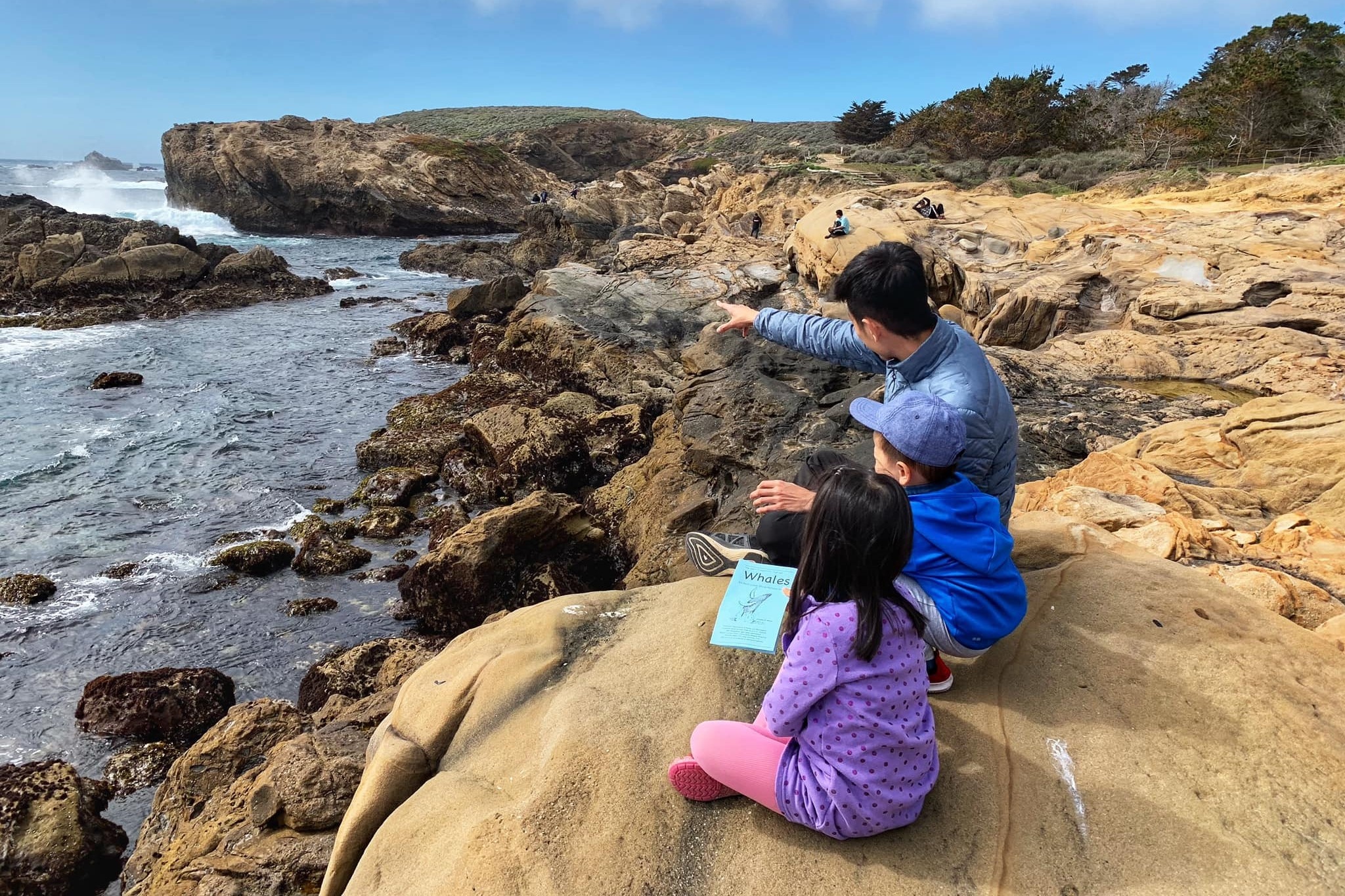 roadtrip gia đình ảnh 4 roadtrip gia dinh anh 4