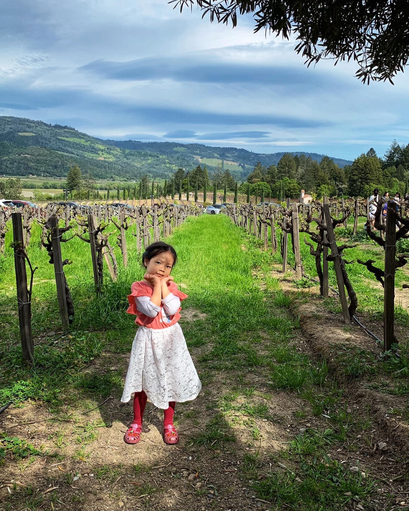 roadtrip gia đình ảnh 3 roadtrip gia dinh anh 3