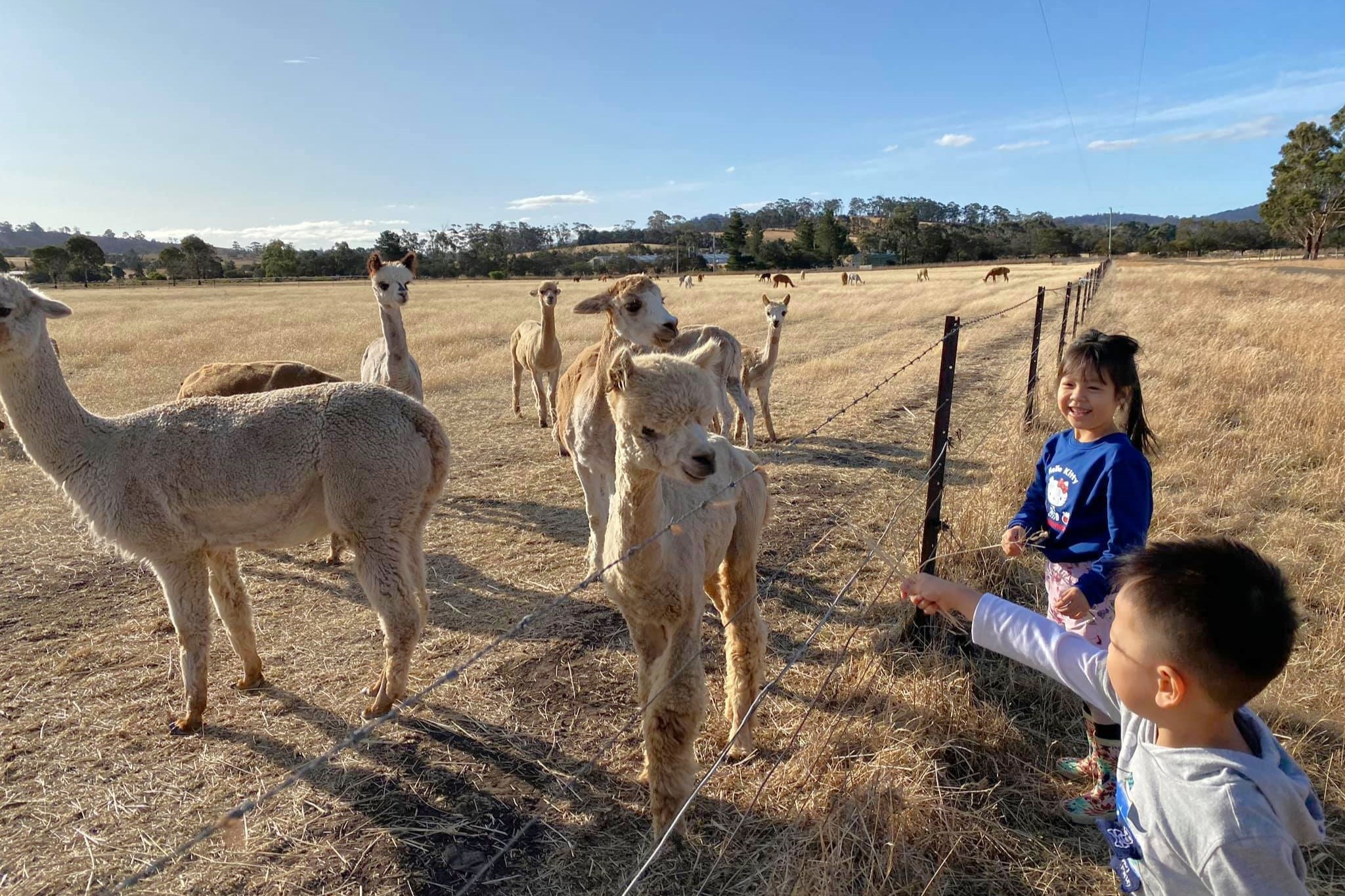 roadtrip gia đình ảnh 2 roadtrip gia dinh anh 2