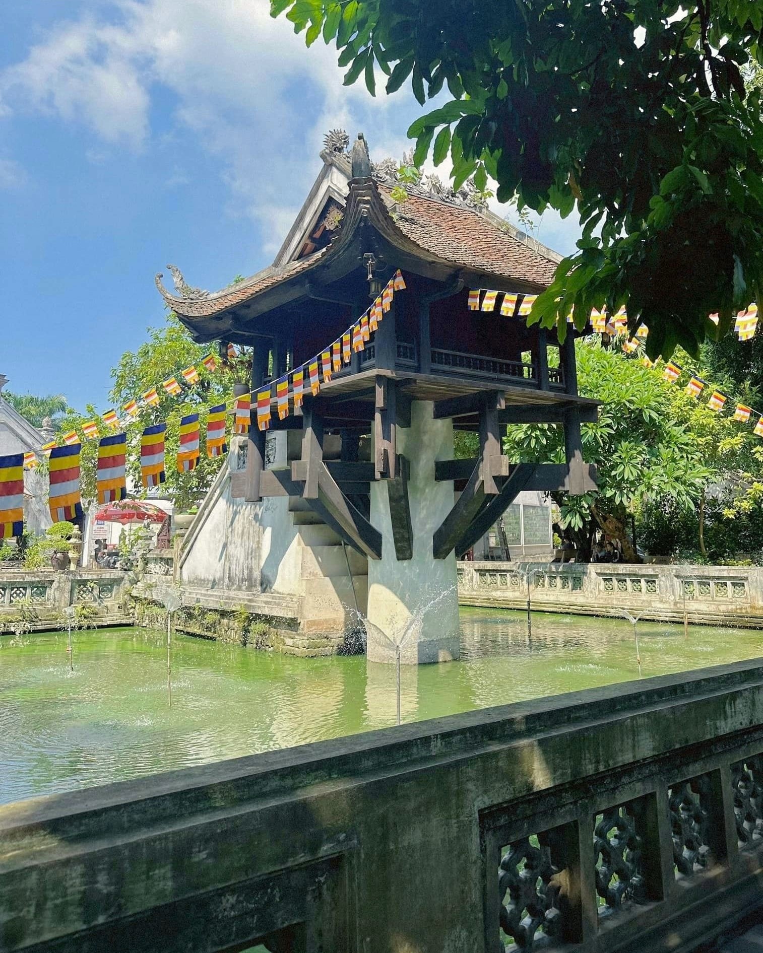 phuot Viet Nam anh 8