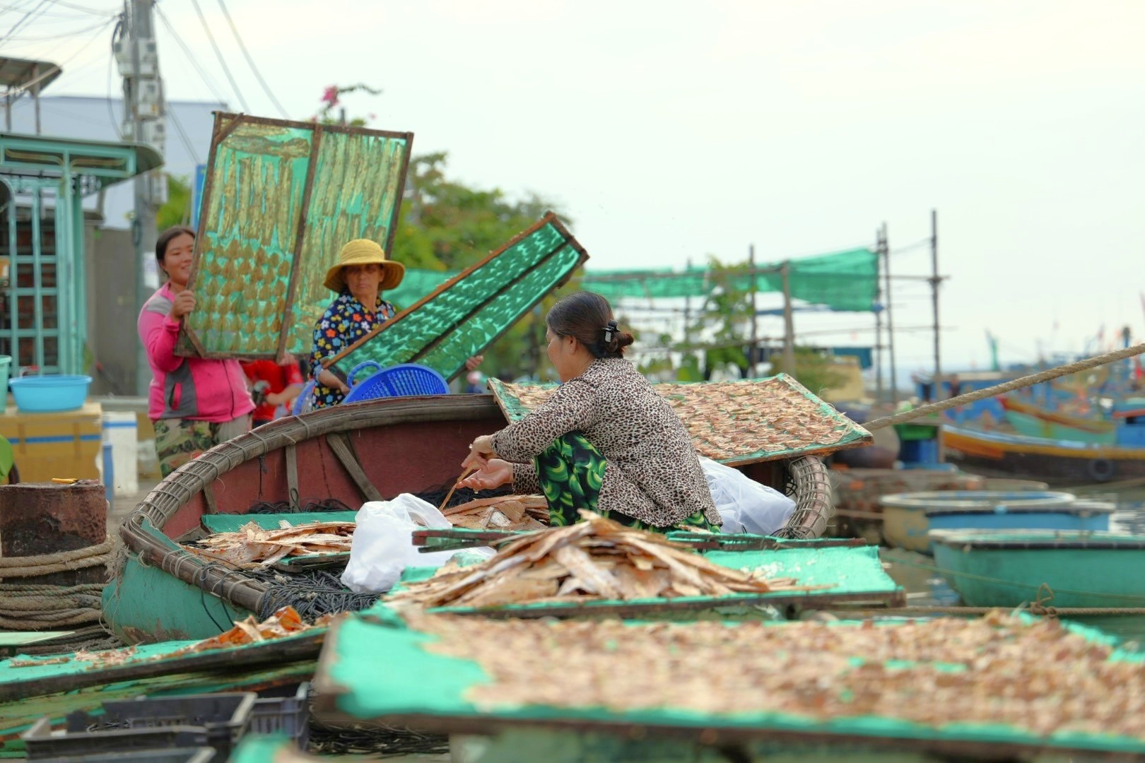 du lich Phan Thiet anh 15