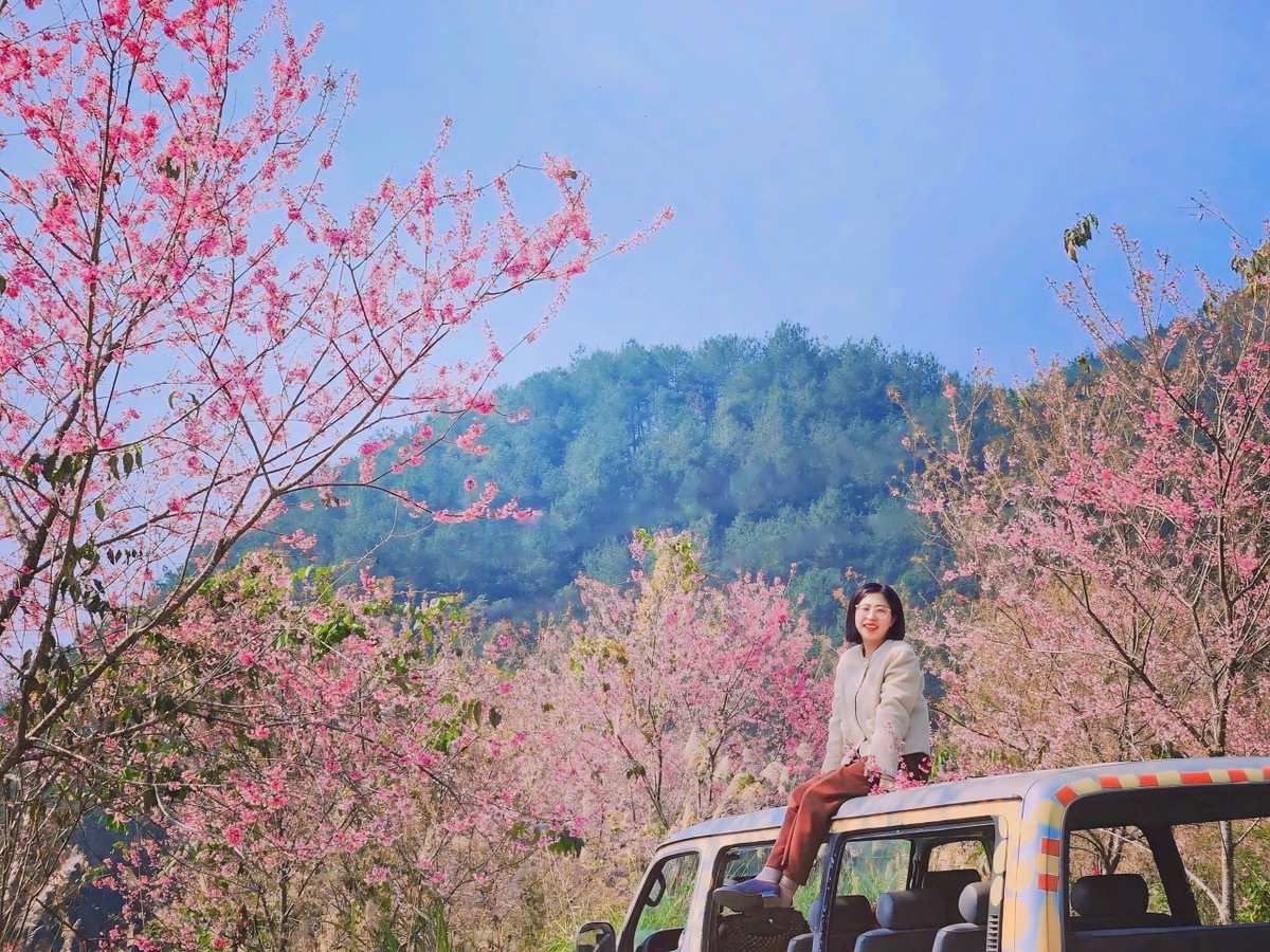 cao nguyen Bac Ha anh 3