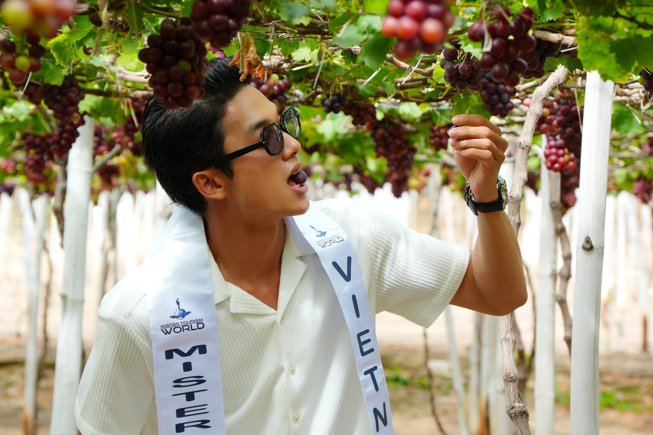 Co gi o cuoc thi Nam vuong Du lich noi dai dien Viet vua dang quang? hinh anh