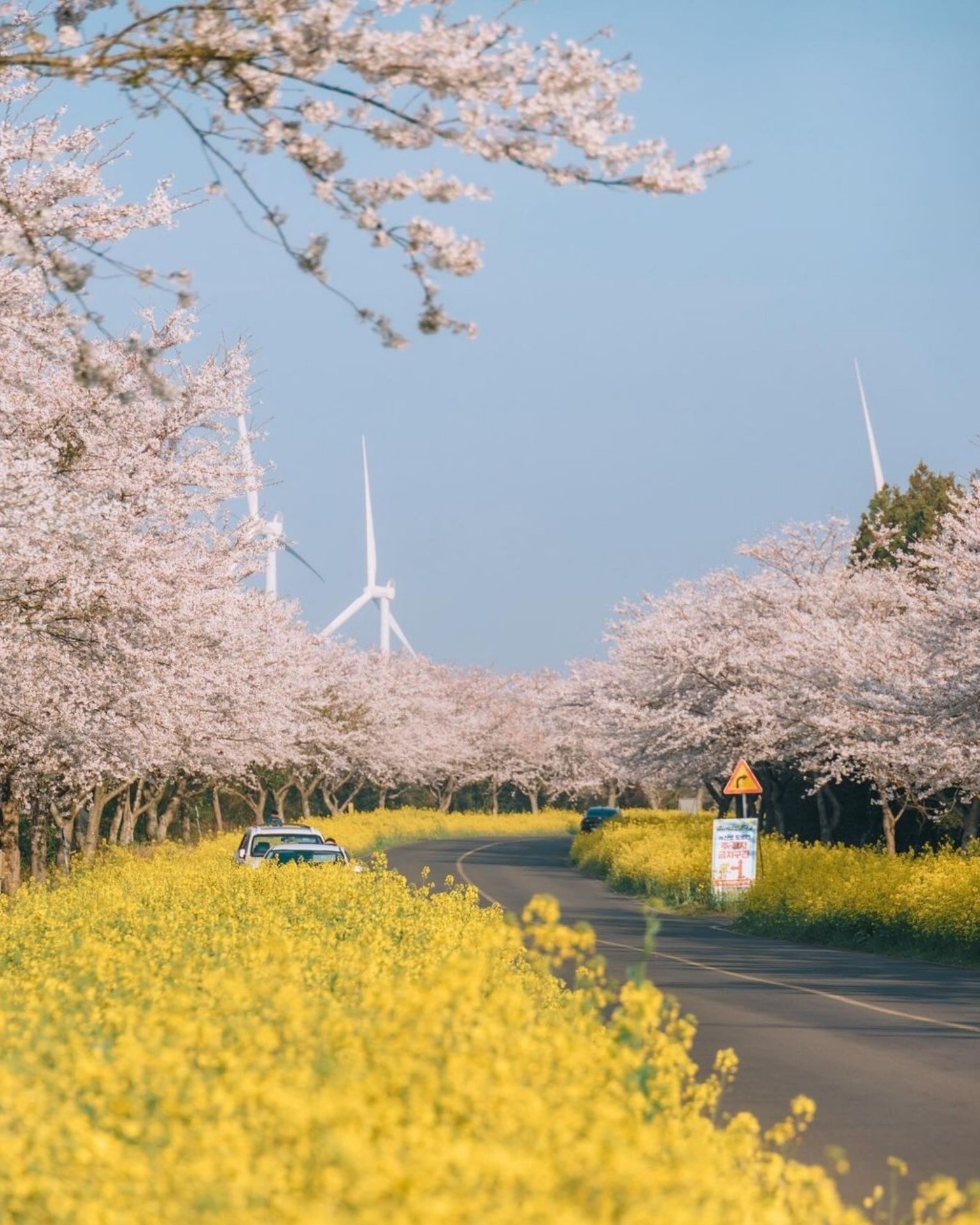 dao Jeju anh 5