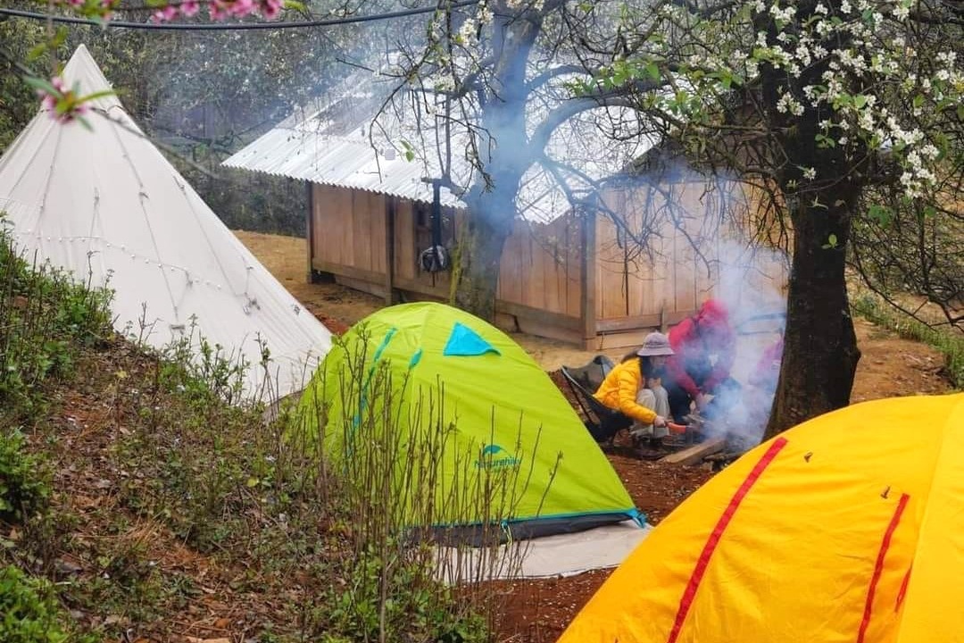 Can phong homestay ban Nam Nghiep mua hoa tao meo dep nhat 5 nam hinh anh