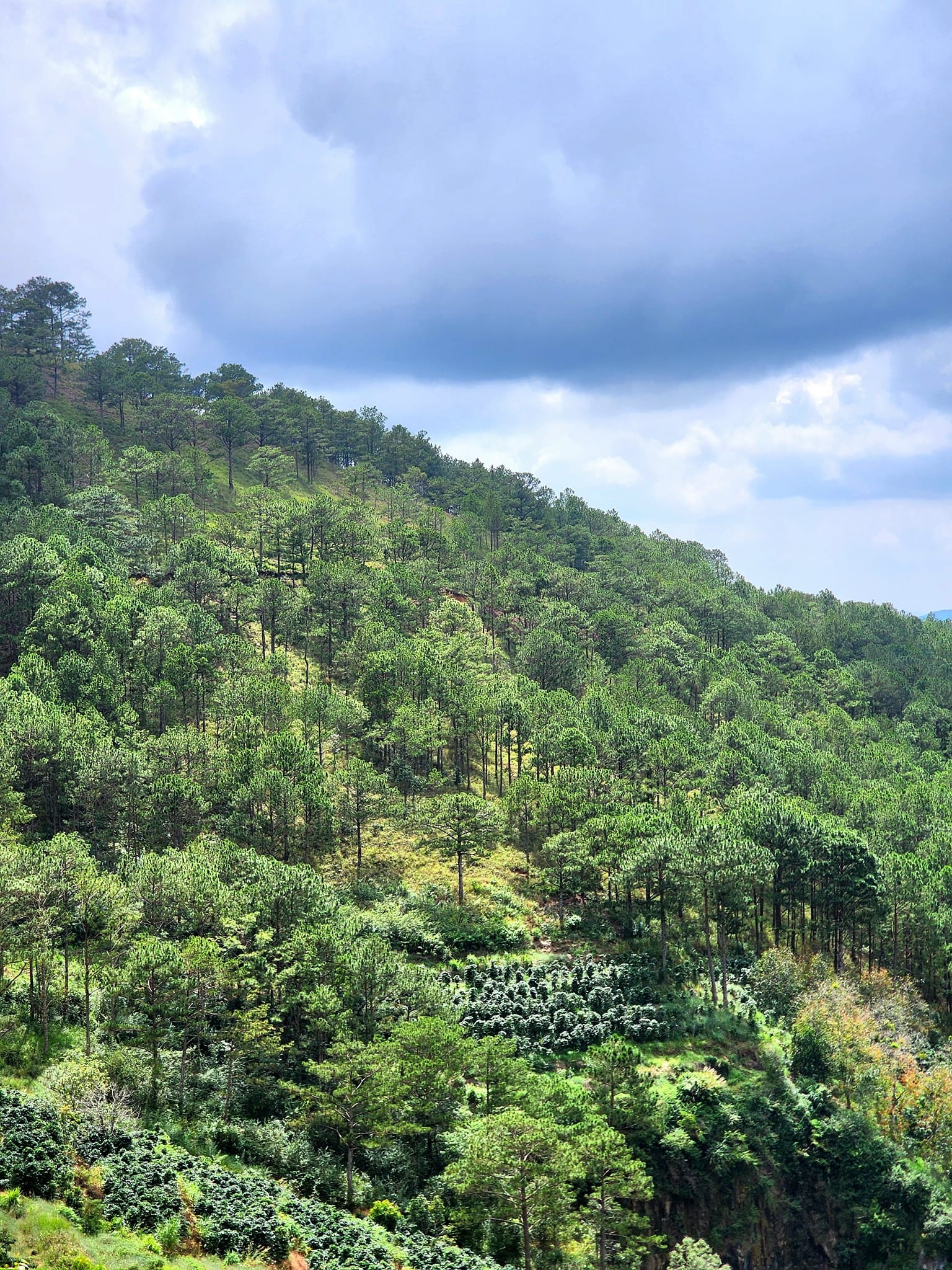 nghỉ lễ 30/4 ảnh 3 nghi le 30/4 anh 3