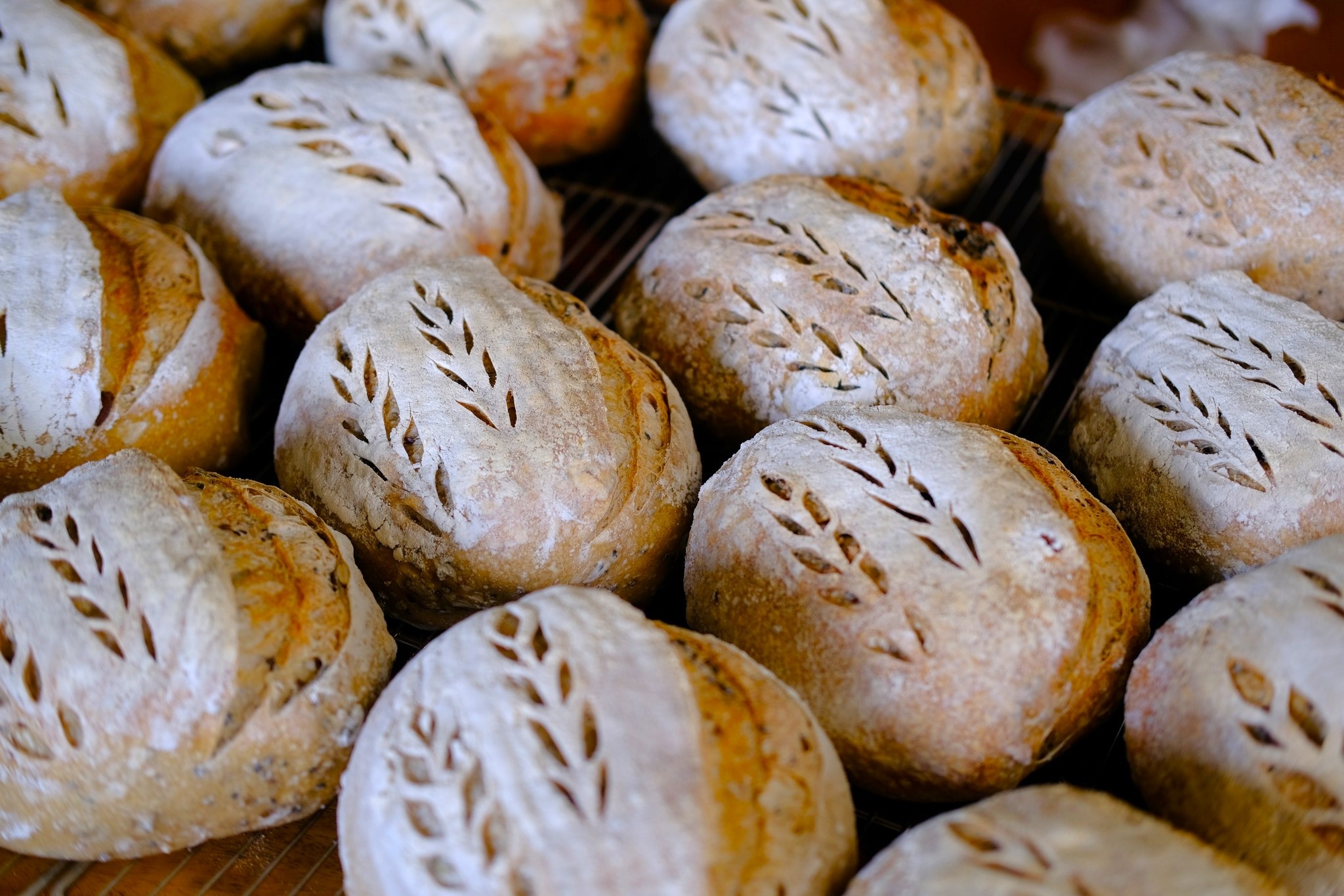 banh mi sourdough anh 3