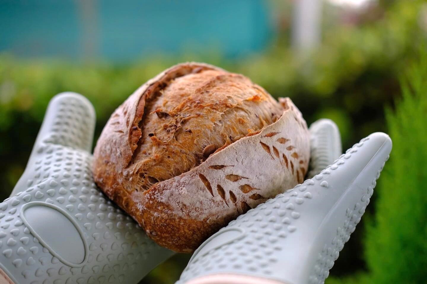 Tranh cai khai niem banh sourdough chuan hinh anh