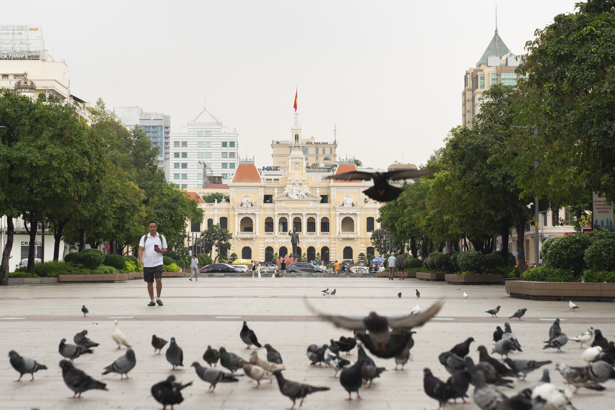 TP.HCM ảnh 3 TP.HCM anh 3