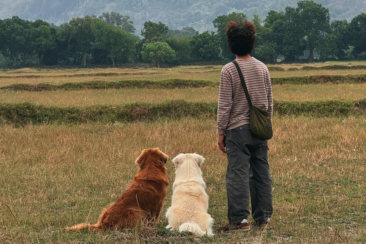 Toi dong quan ca phe, dua cho di xuyen Viet hinh anh