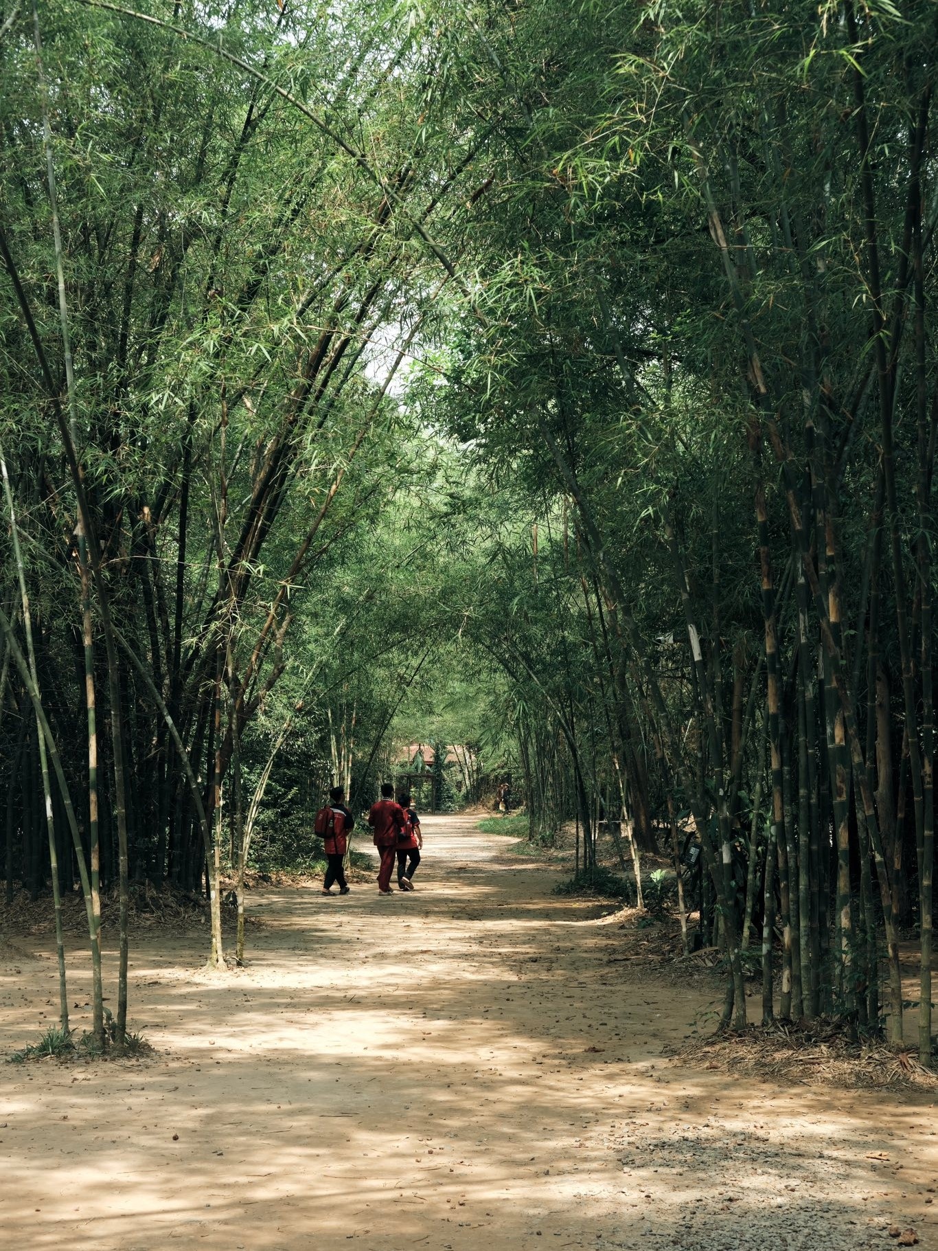 dia dao Cu Chi anh 11
