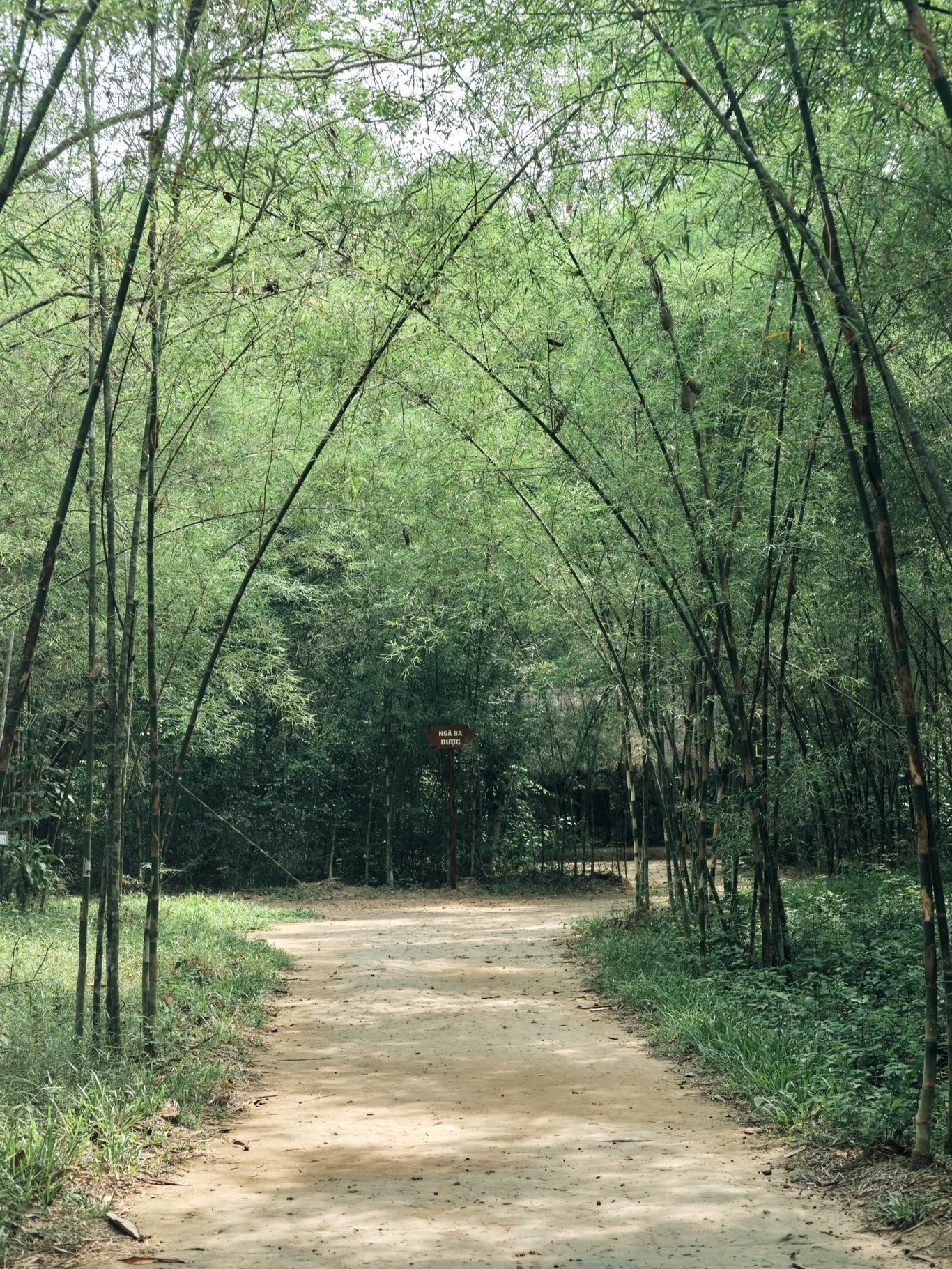 dia dao Cu Chi anh 15