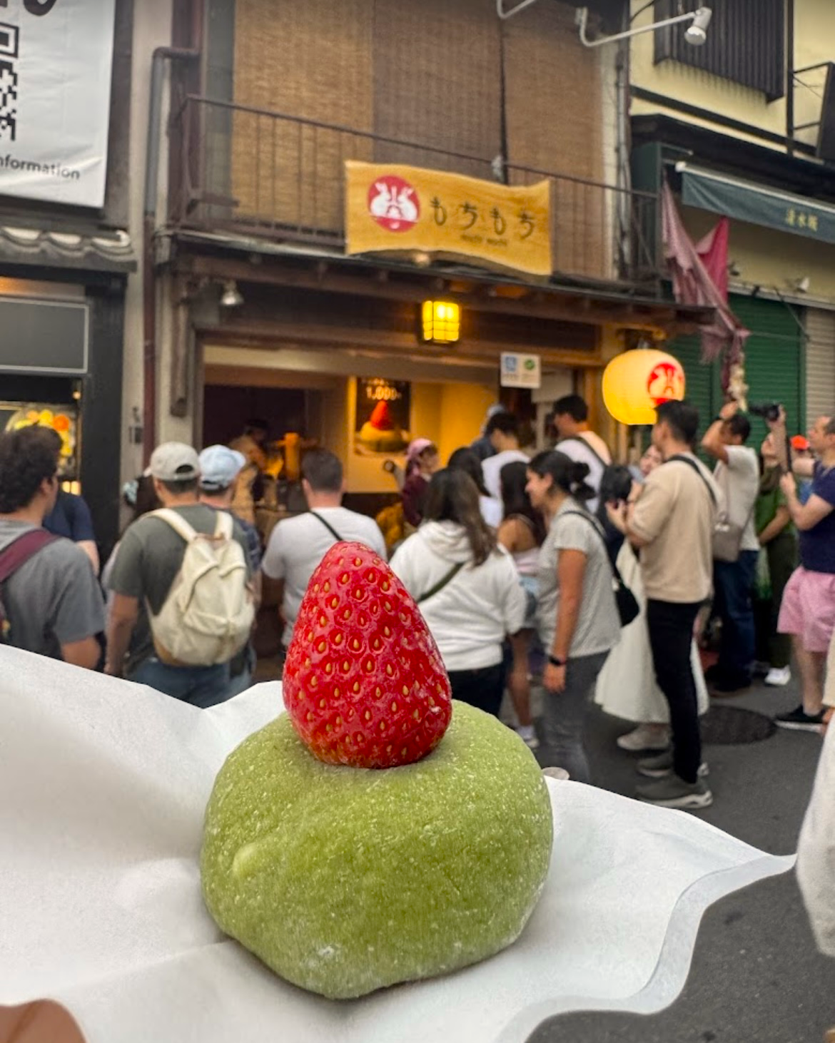 trend gia mochi anh 3