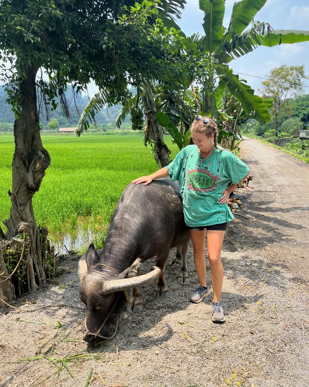 cuoi trau Ninh Binh anh 1