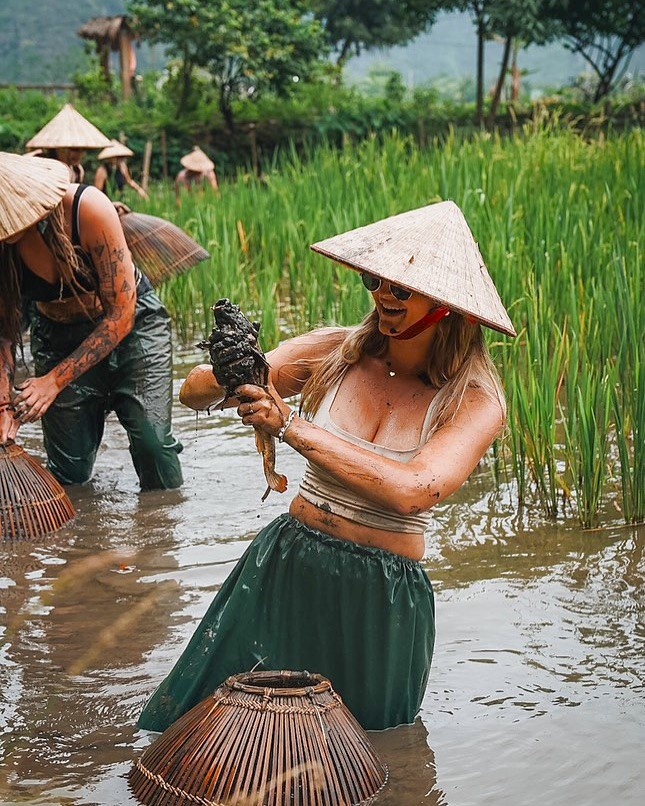 cuoi trau Ninh Binh anh 4