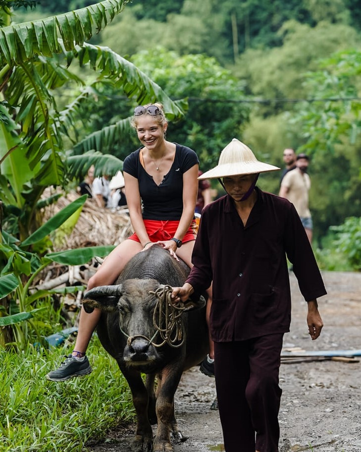 cuoi trau Ninh Binh anh 6