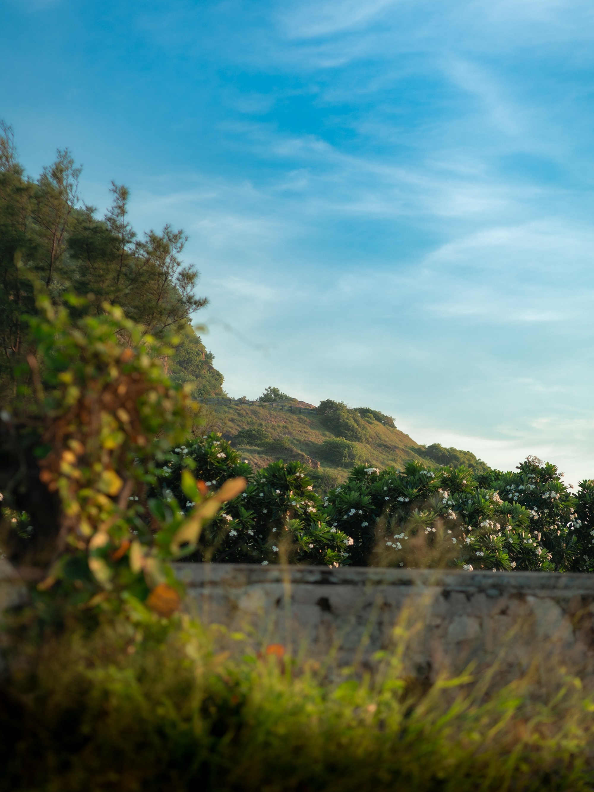 du lich Vung Tau anh 5