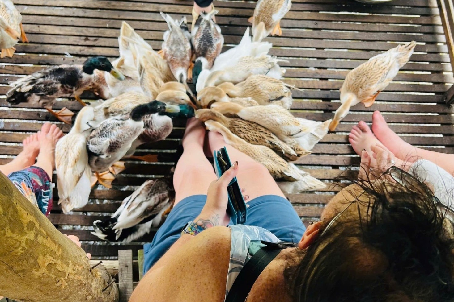 Khach Tay cuoi tit mat khi duoc dan vit hon 30 con massage bang mo hinh anh