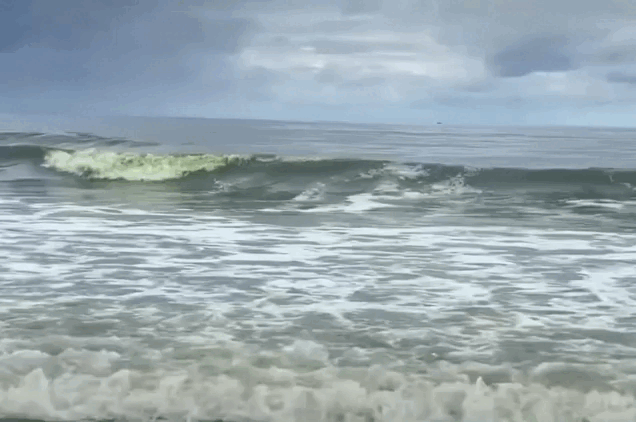 Nước biển Vũng Tàu 'xanh như matcha' gây bất ngờ