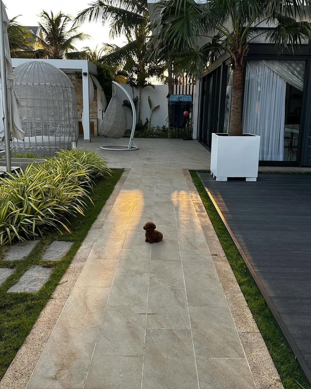 Tiên Nguyễn du lịch  ảnh 8 Tien Nguyen du lich anh 8